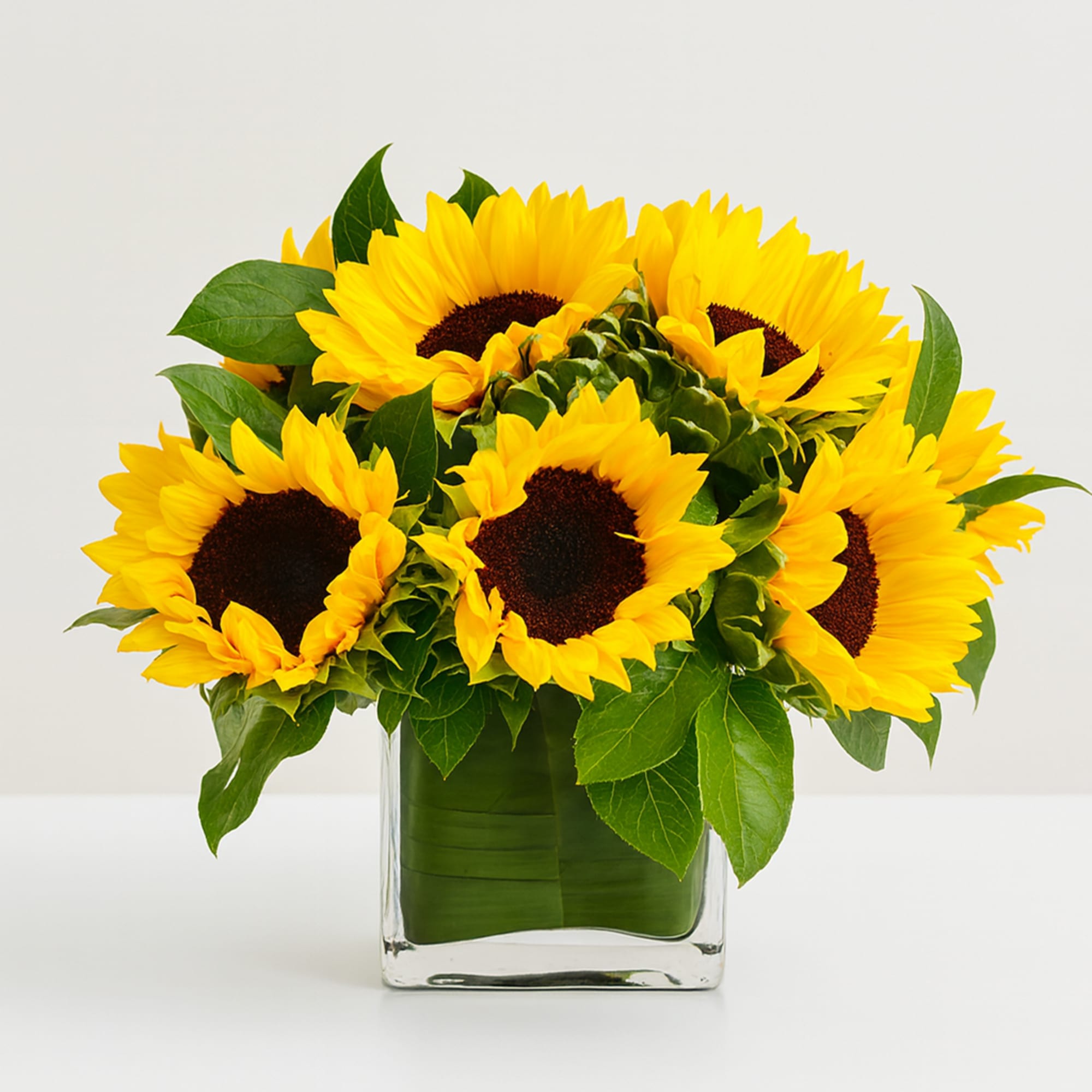 Sunflowers arranged in a clear square glass vase