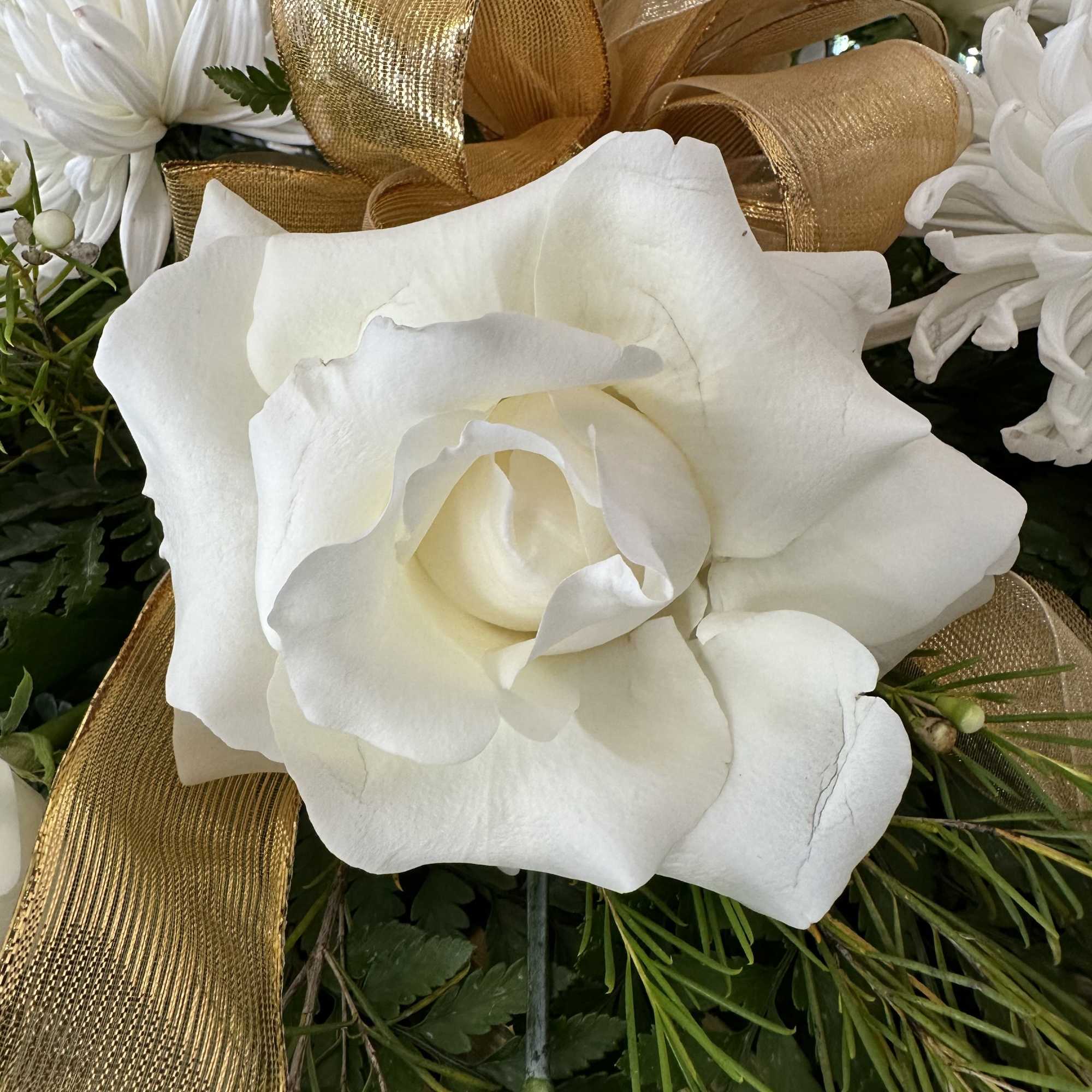 White rose with white daisies and gold ribbon accents