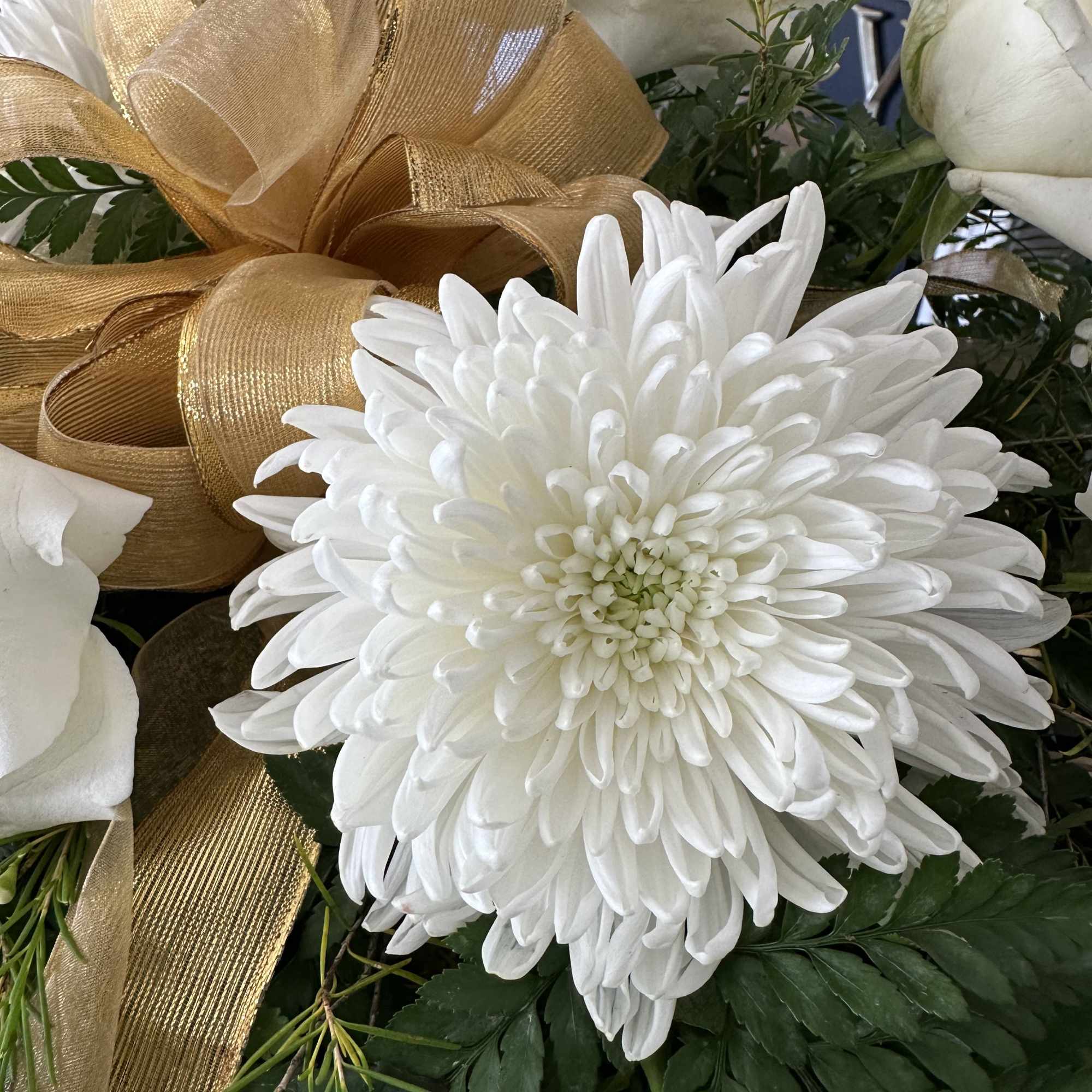 White chrysanthemum with white roses and a gold ribbon bow