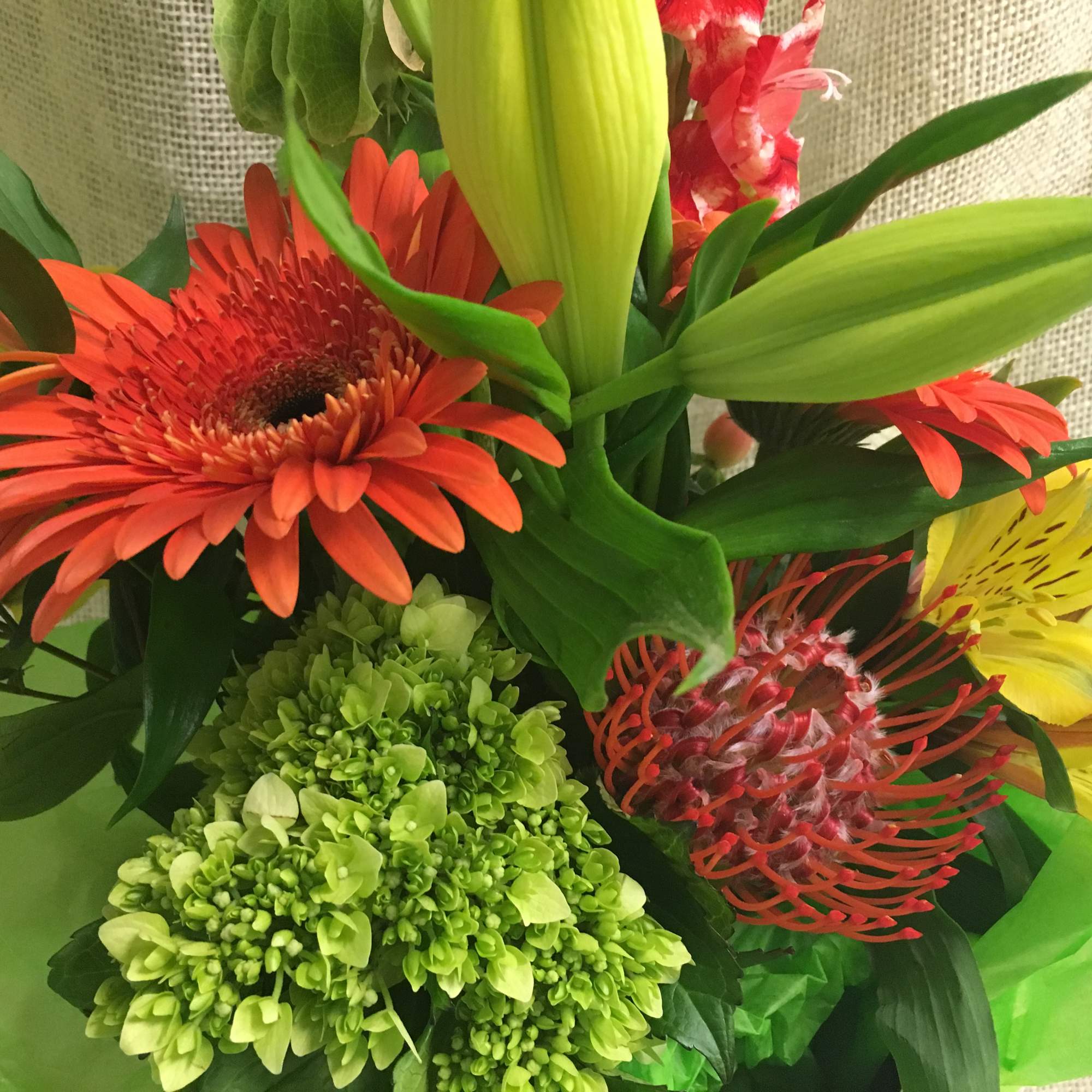 Bouquet with orange gerbera daisies, yellow alstroemeria, and green hydrangea