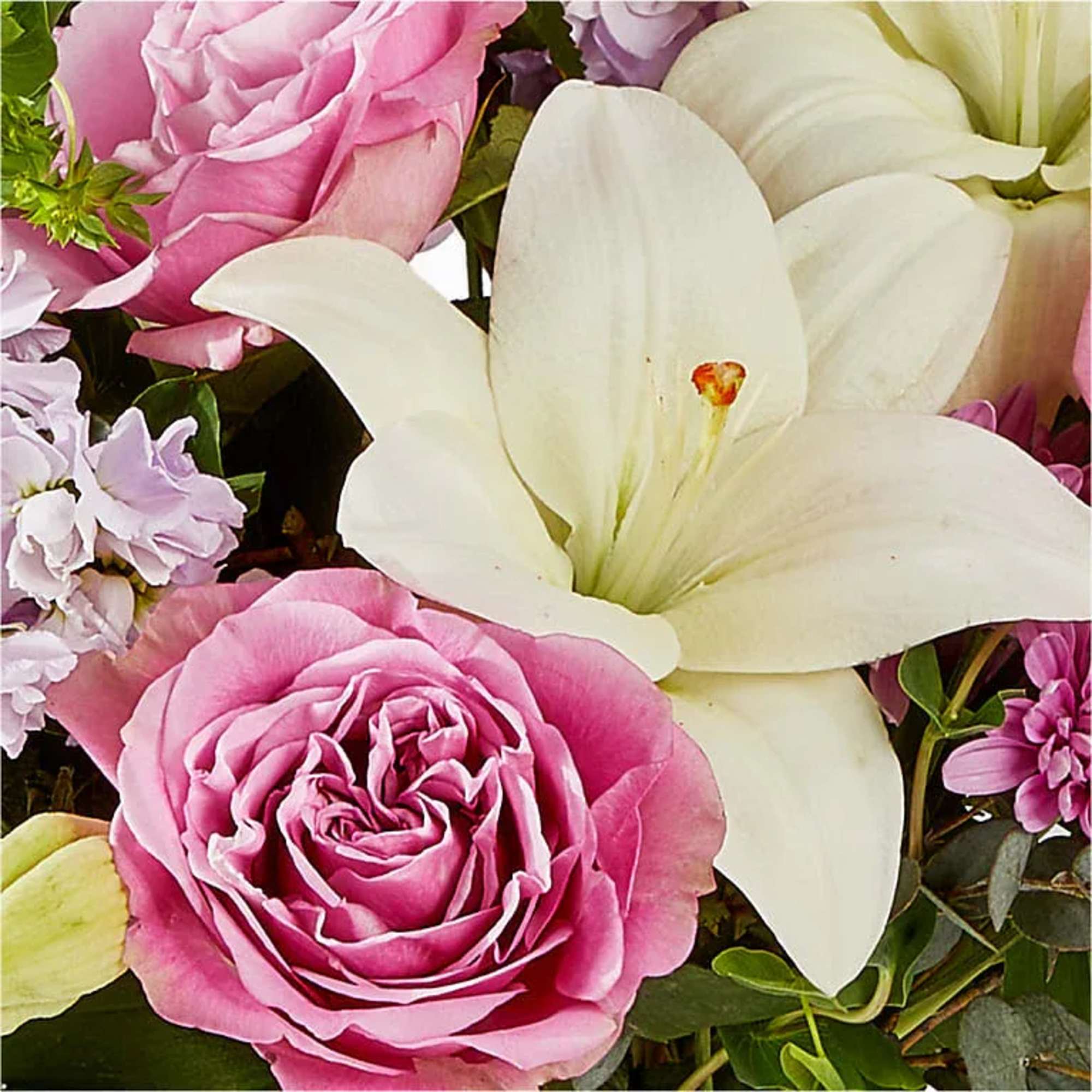 Pink roses and white lilies with small lavender flowers