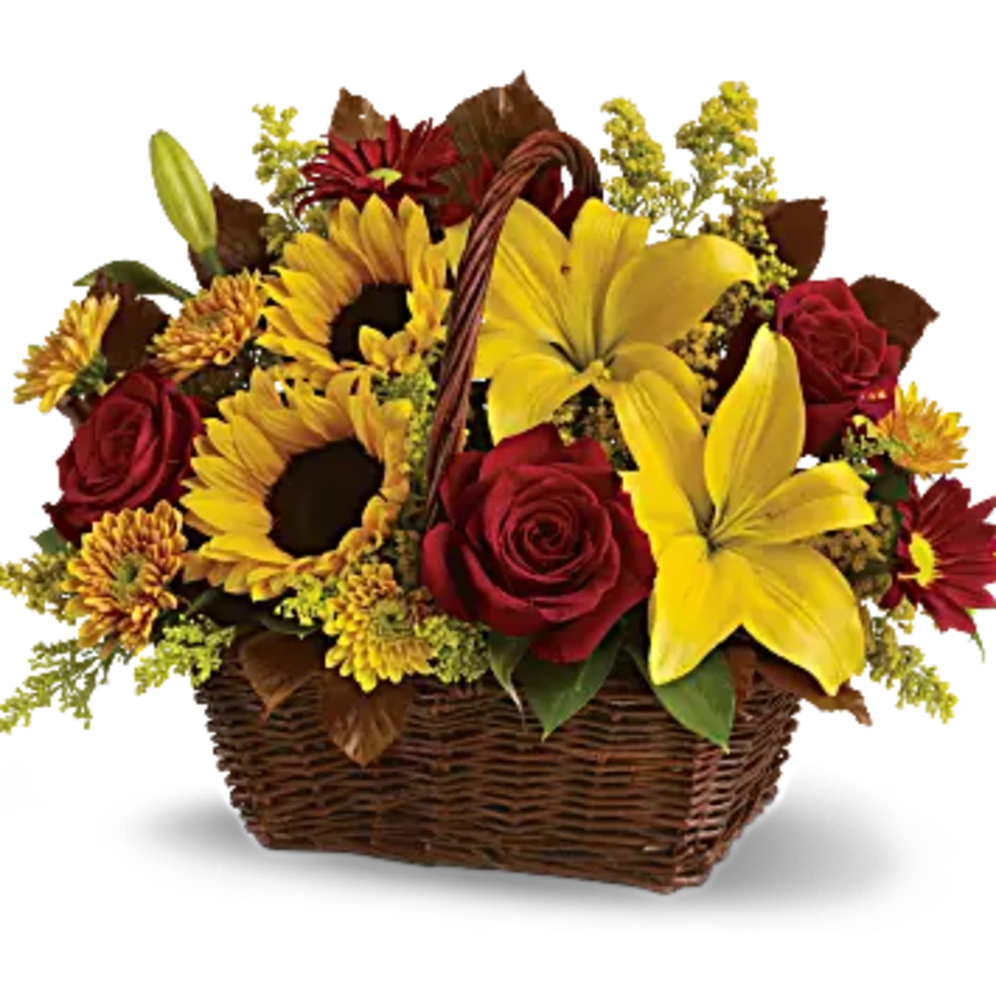 Send warm autumn sunshine to a special friend or relative with this, photo 2 of 2