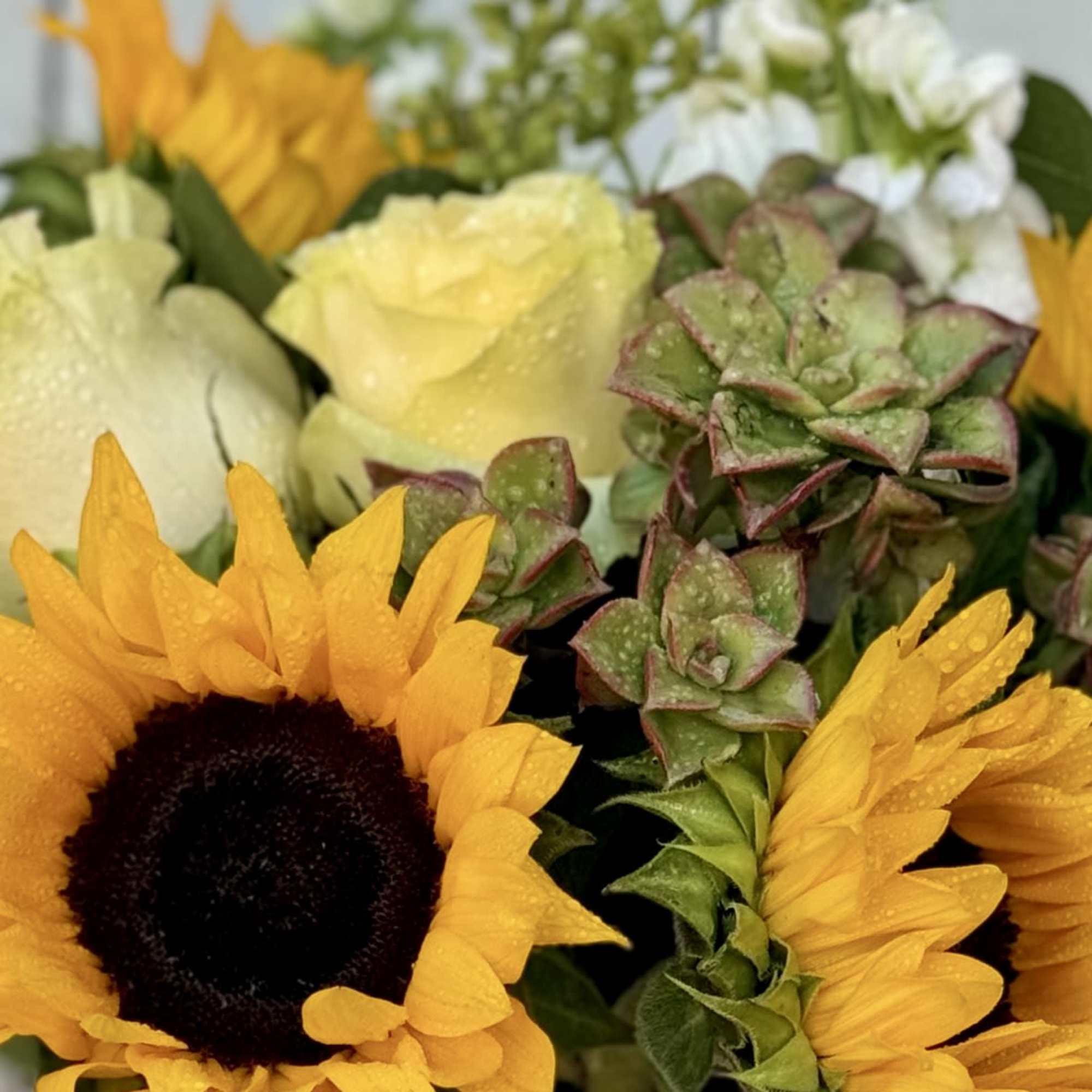 Sunflowers, white roses, and succulents in a wooden box
