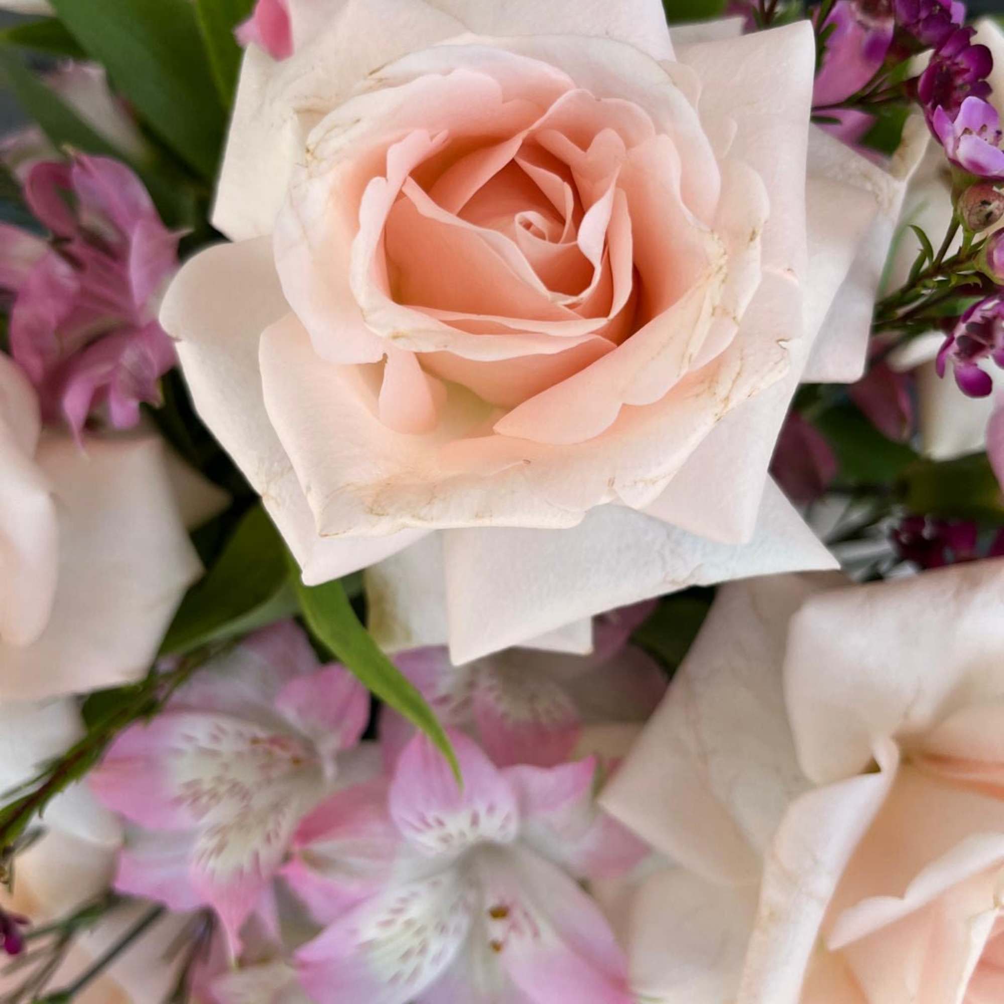 Blush roses with pink alstroemeria and purple filler flowers