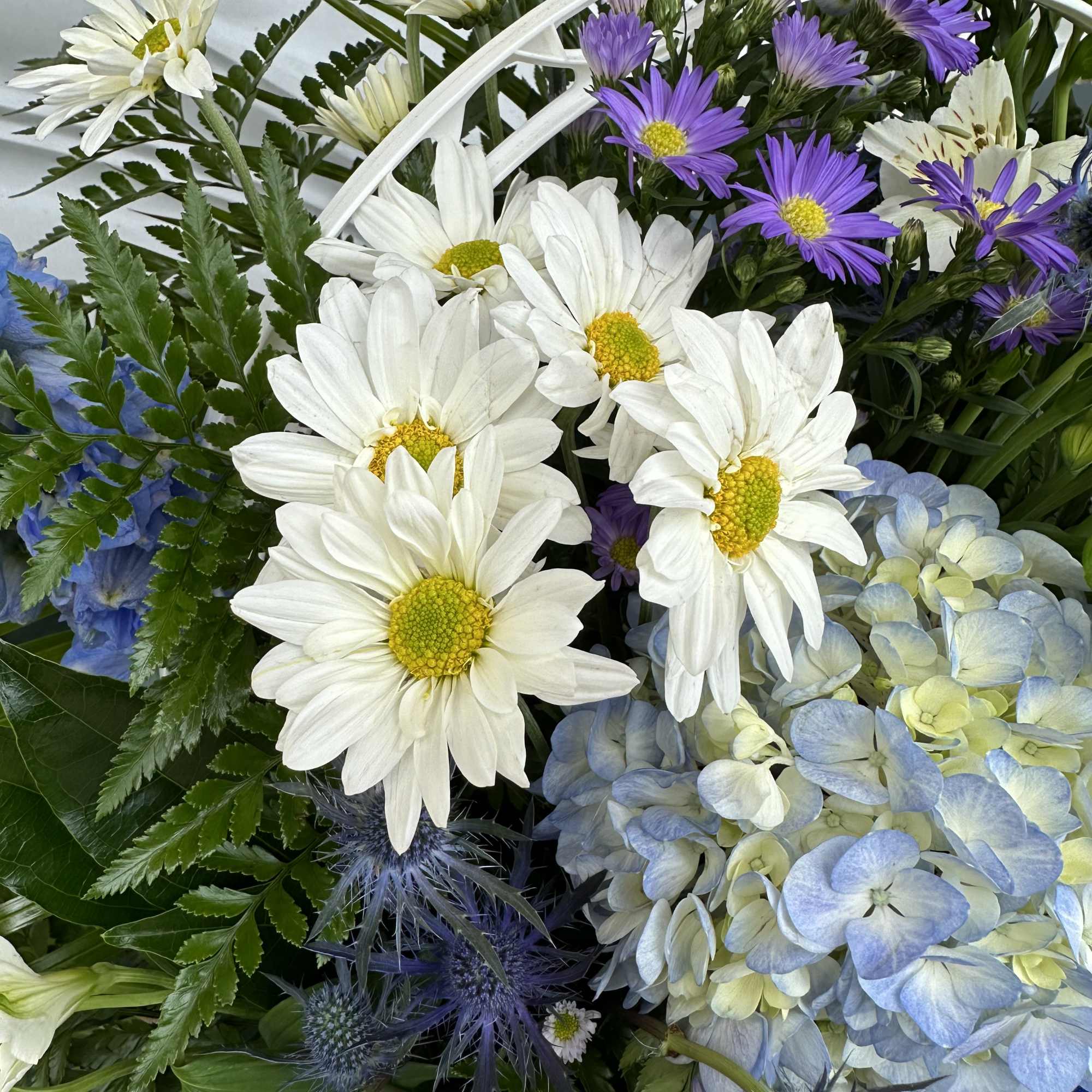 White daisies and purple asters with blue hydrangea in a bouquet