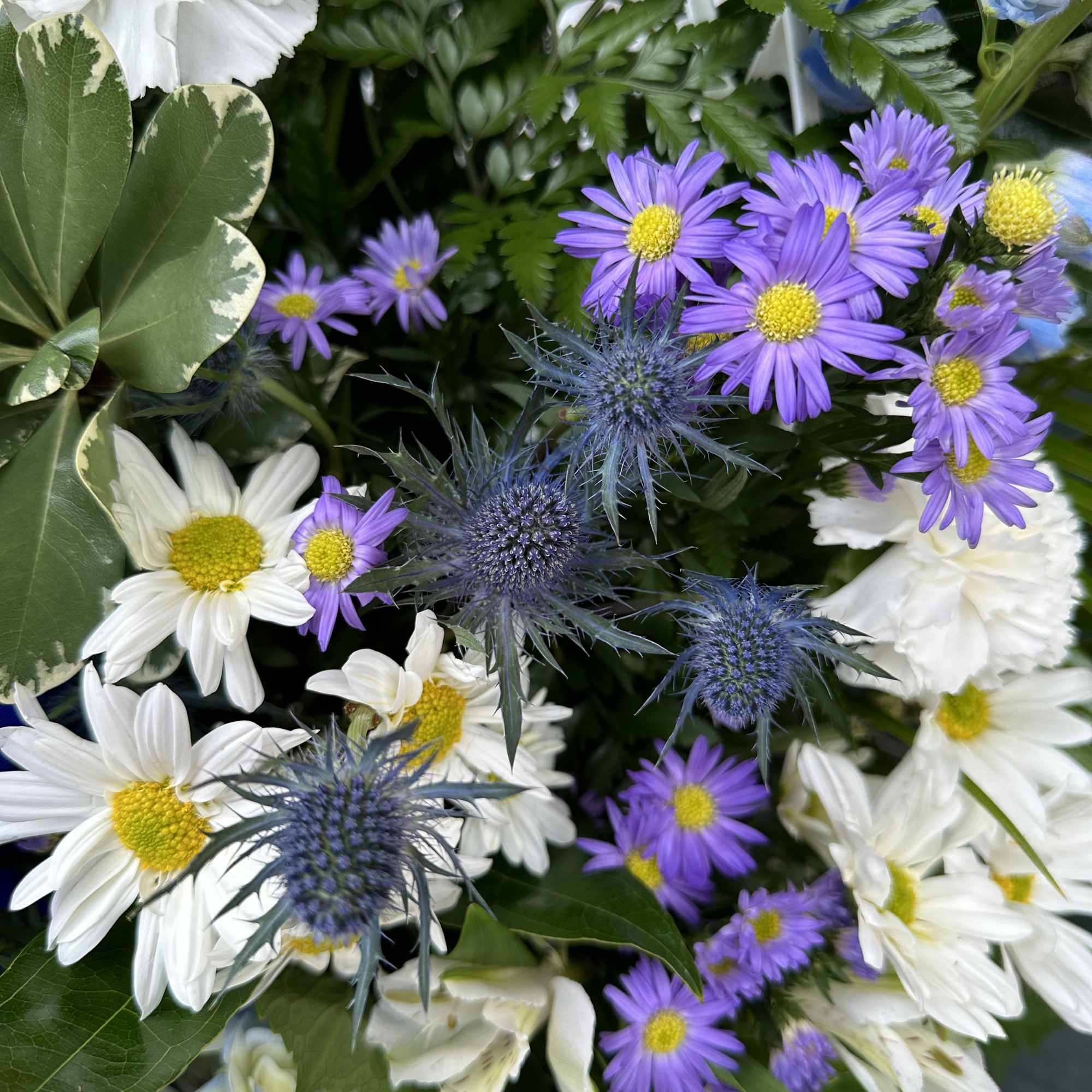 Bouquet of white daisies and purple thistle flowers