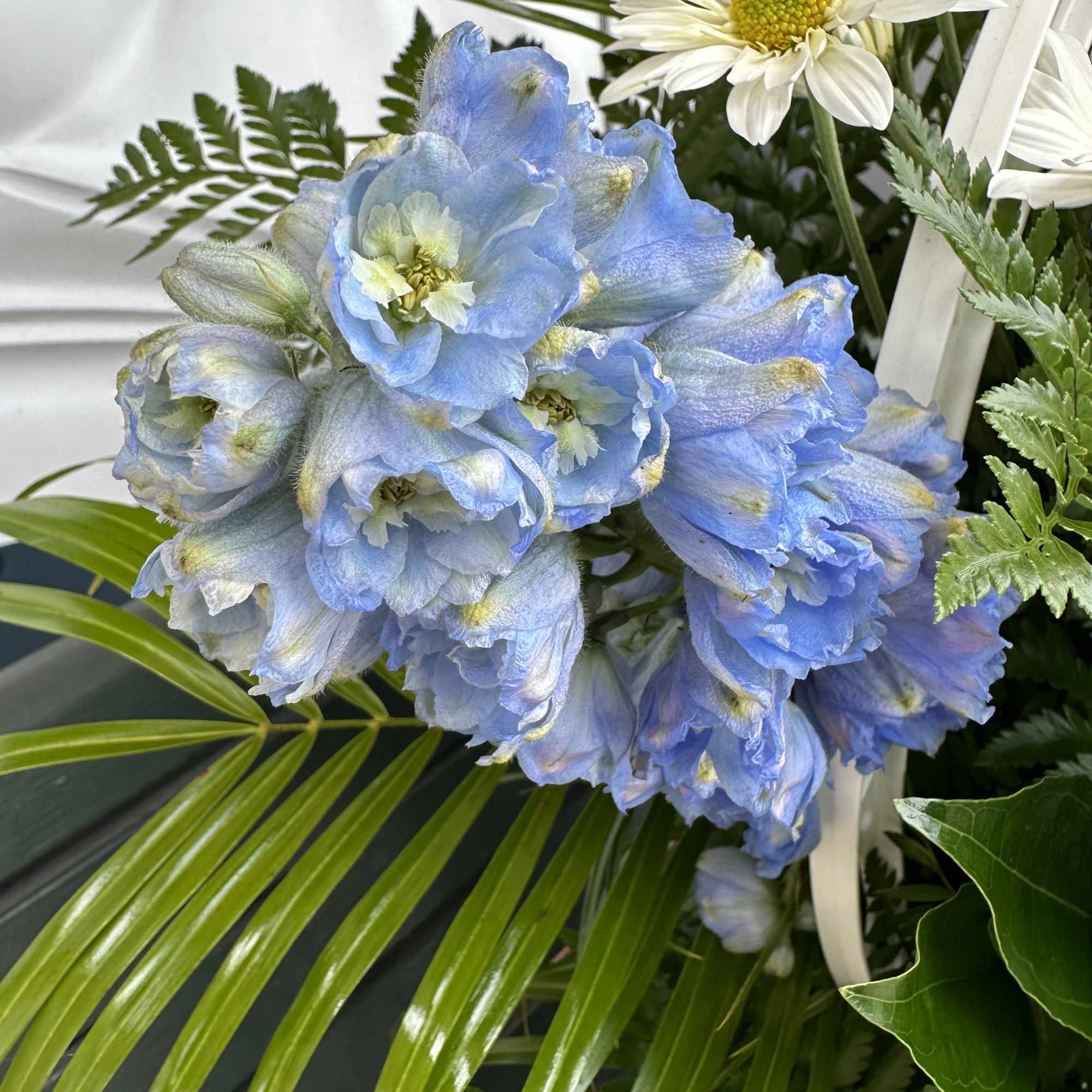 Blue delphinium blooms with white daisies and palm fronds