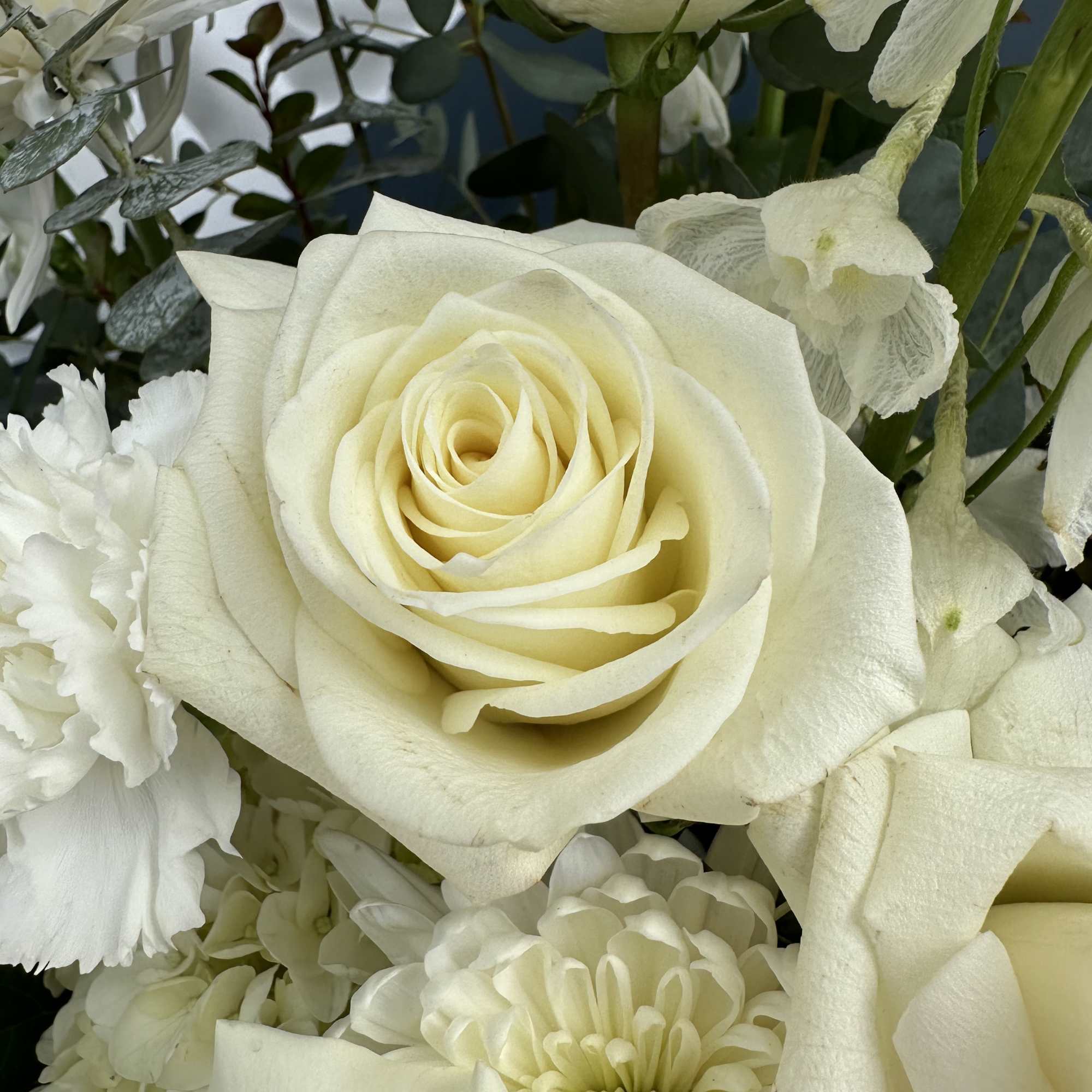 White rose bouquet with white daisies and calla lilies