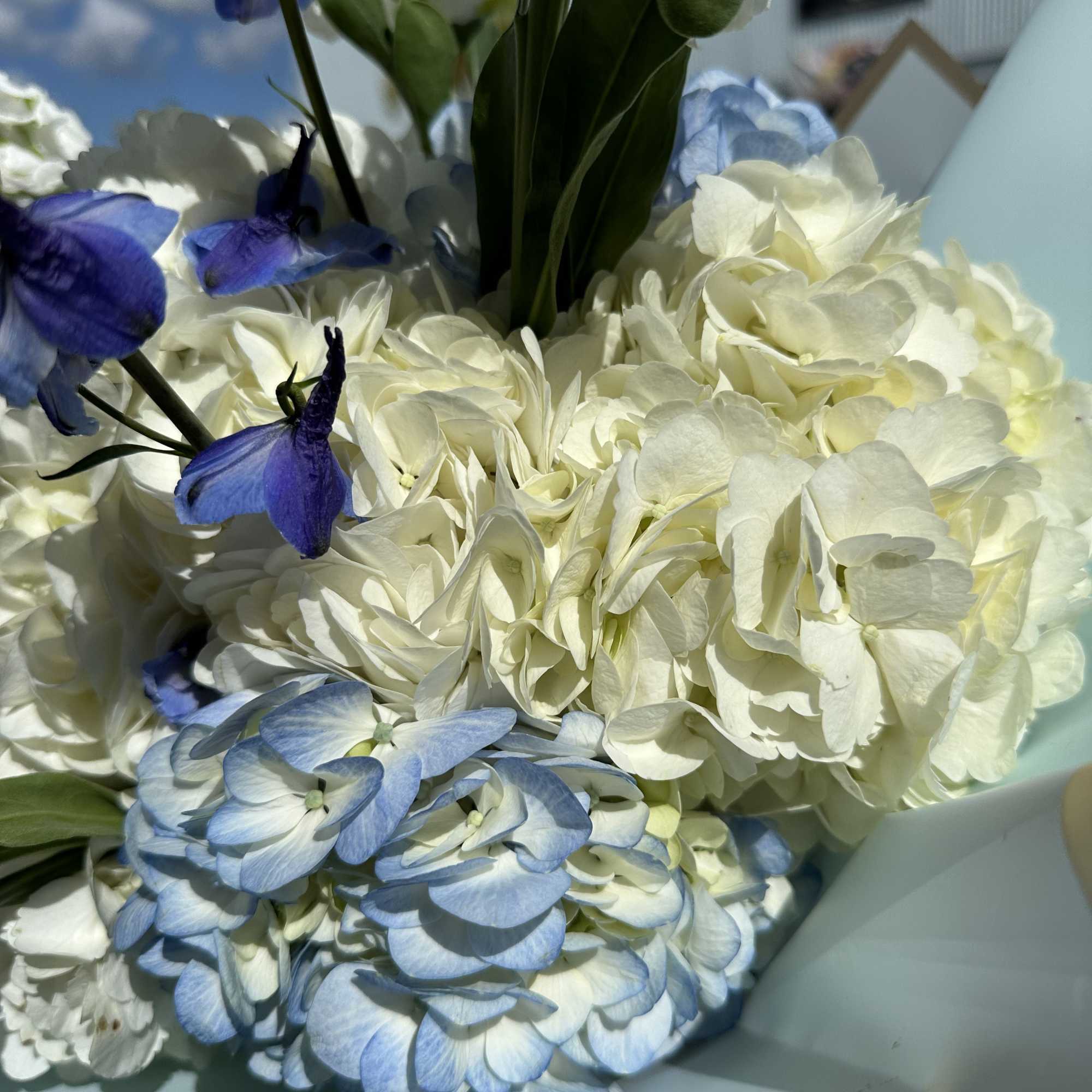 Bouquet of white and blue hydrangeas with a few blue flowers