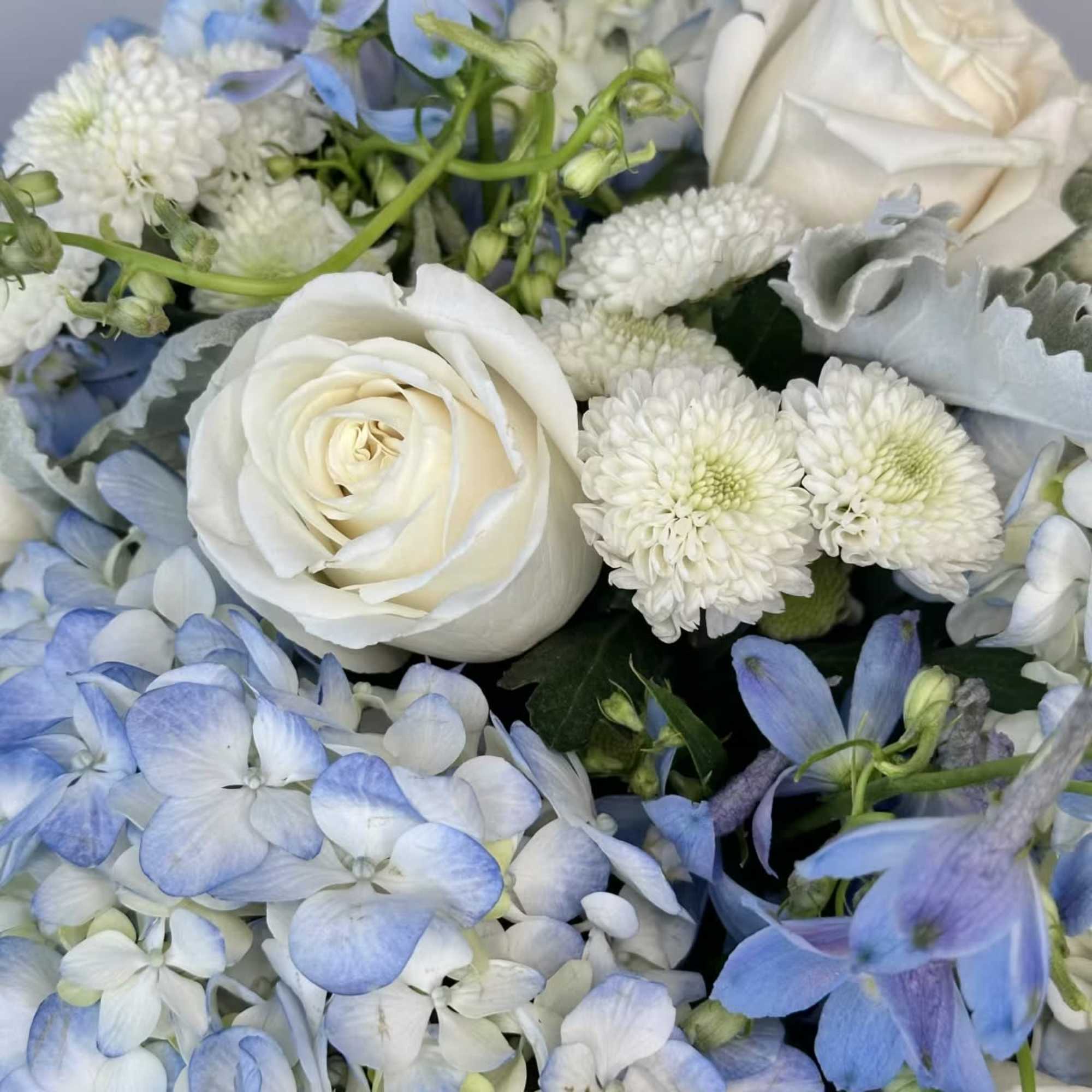 White roses and blue hydrangeas with white mums in a bouquet