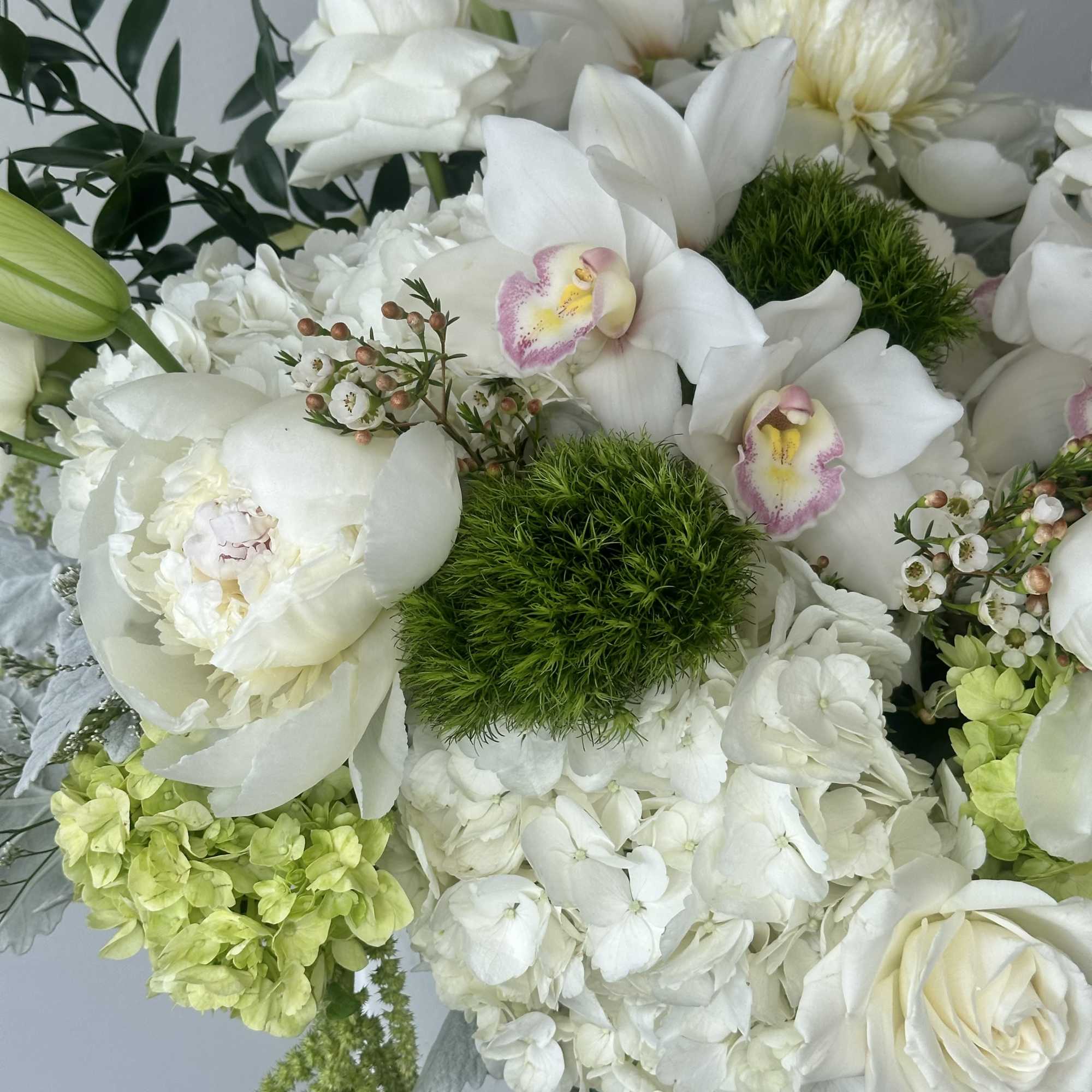 Graceful, elegant, and timeless, Angel is a luxurious white and green flower, photo 2 of 2