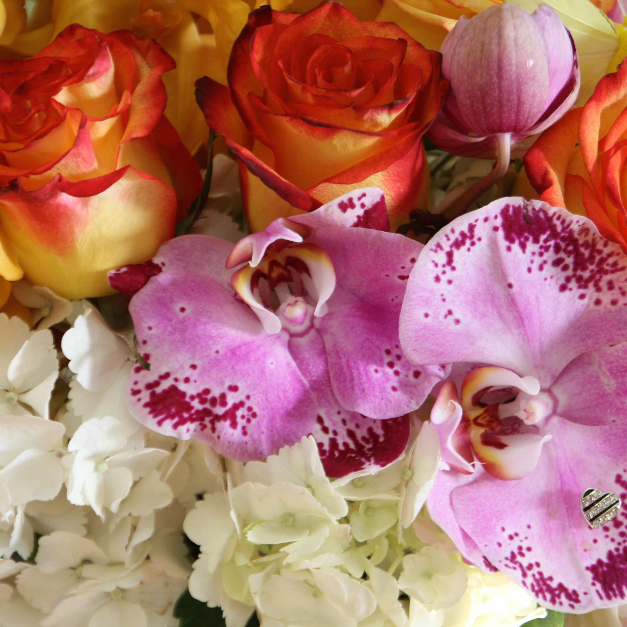 Bouquet of orange roses, pink orchids, and white hydrangeas