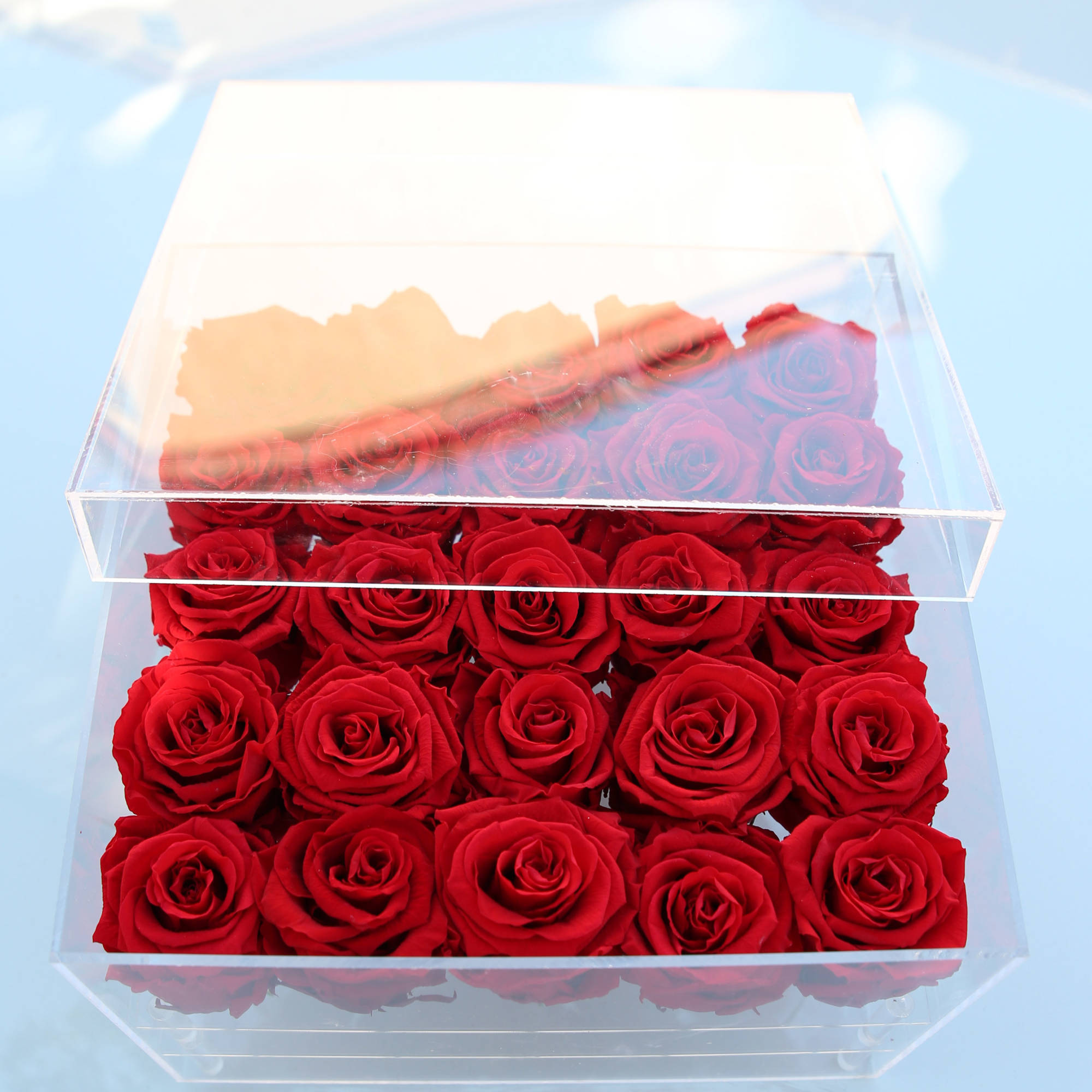 Red roses arranged in a clear acrylic box