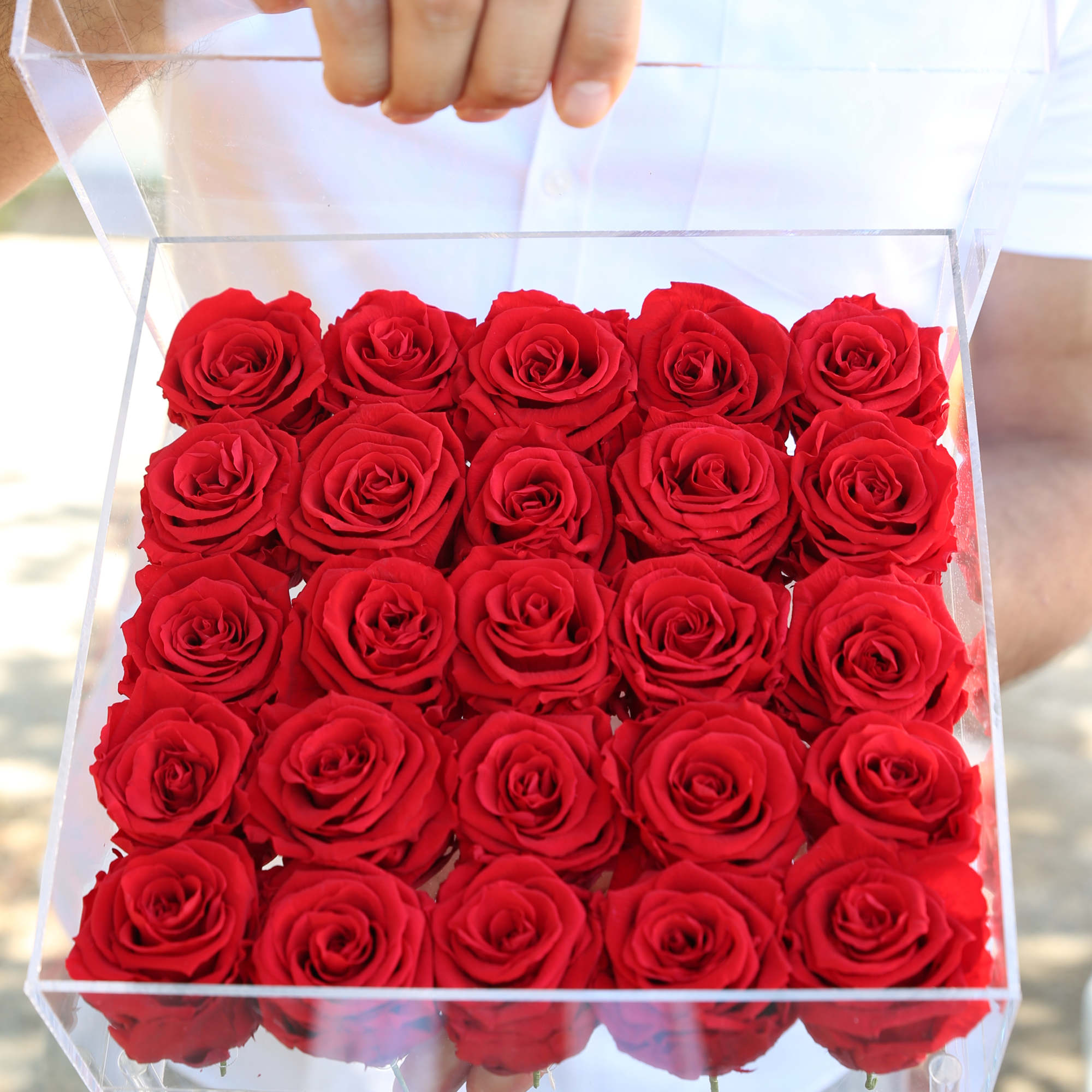 Clear box filled with red roses held by a person
