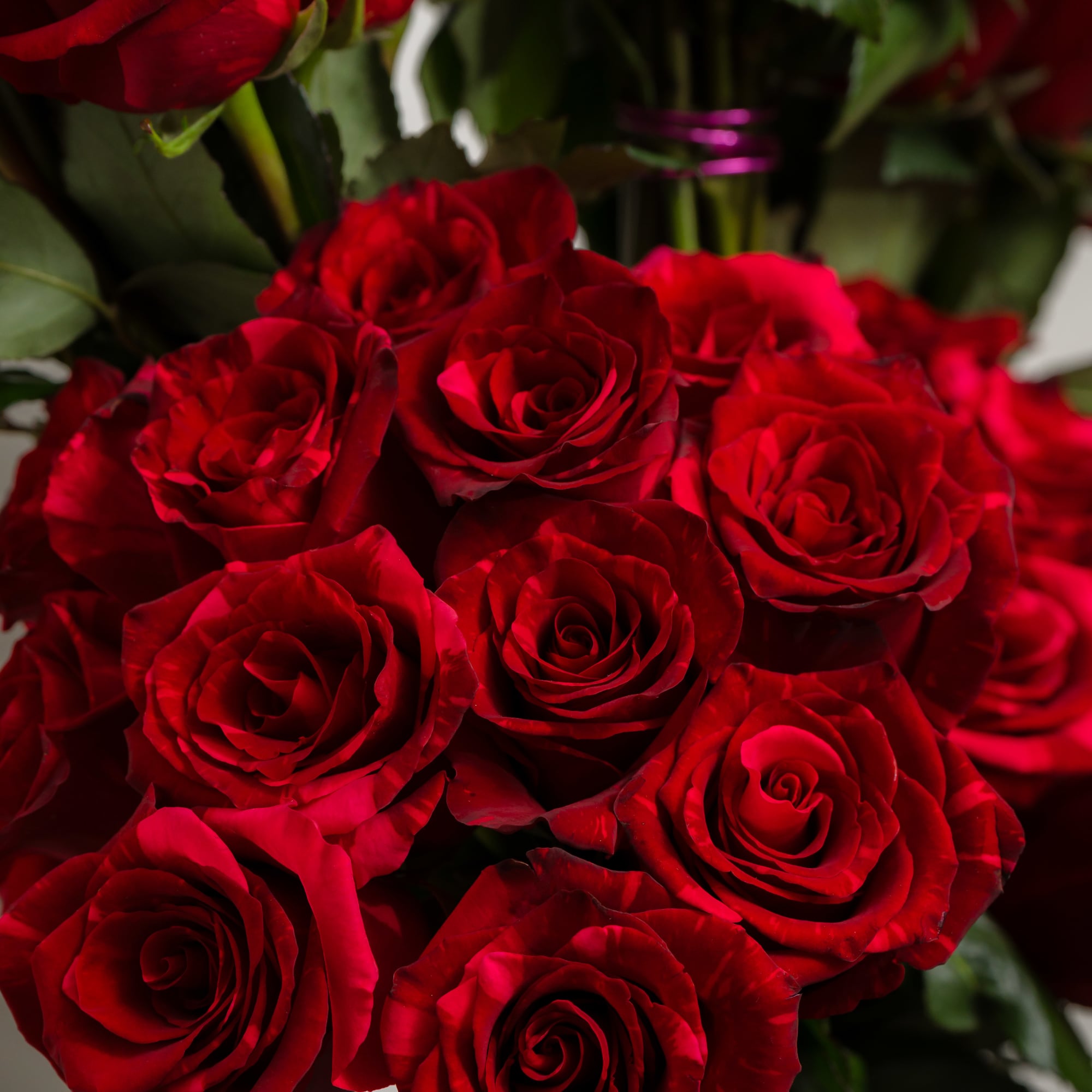 Close-up bouquet of red roses