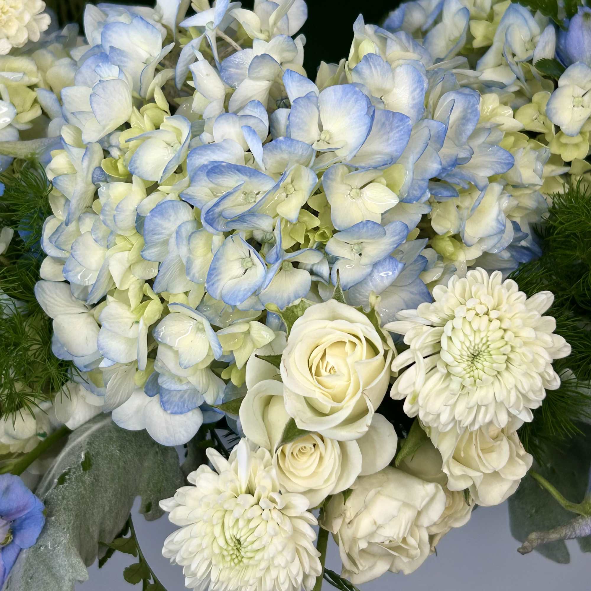 Blue and white hydrangeas with white roses and chrysanthemums