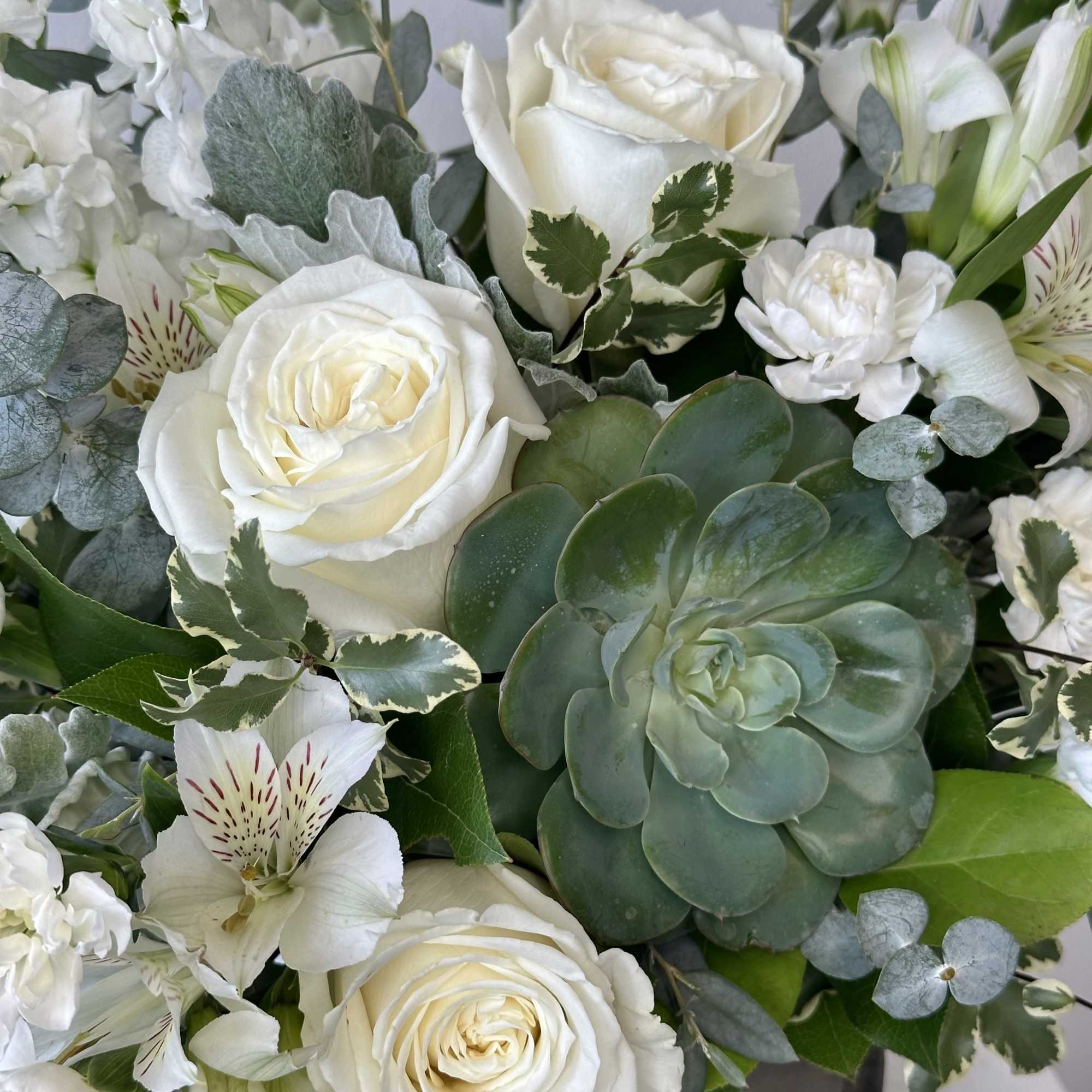 White roses and mixed white flowers with a large succulent