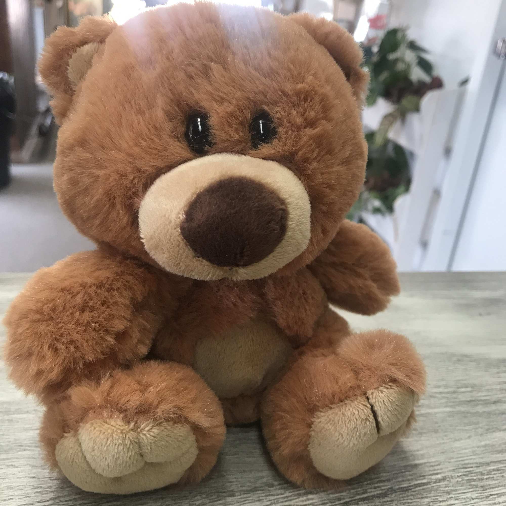 Brown plush teddy bear sitting on a tabletop