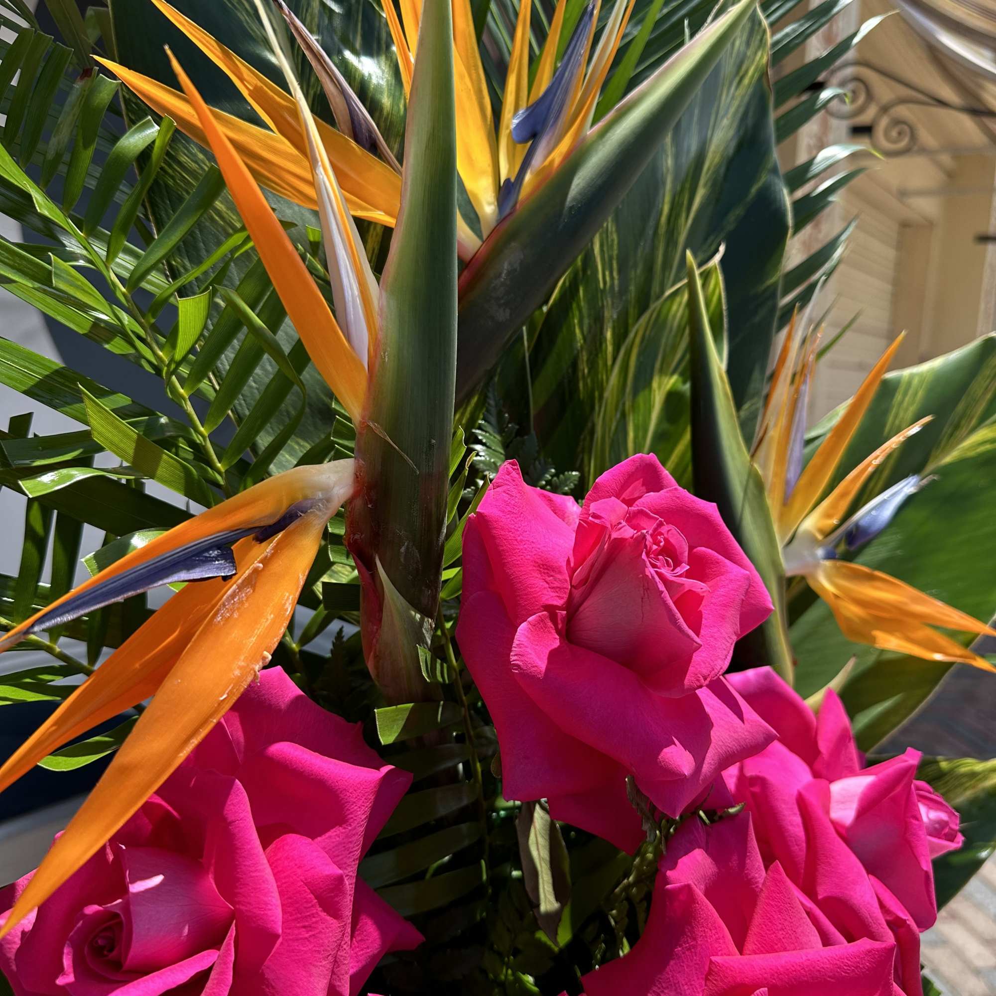 Bright pink roses with orange bird-of-paradise flowers and tropical foliage