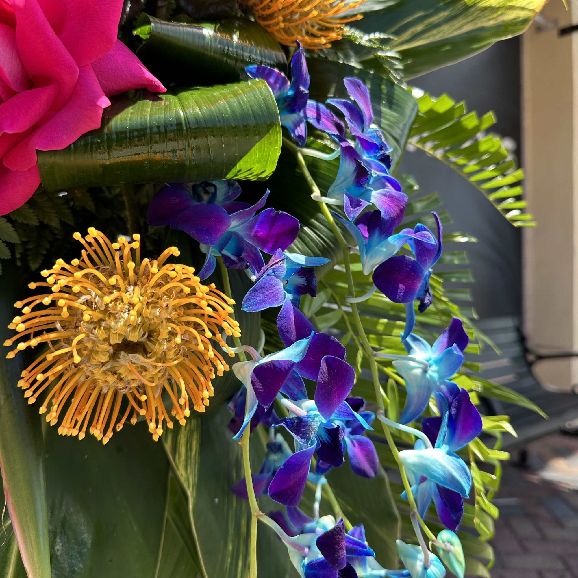 Tropical bouquet with pink roses, orange pincushion blooms, and blue-purple orchids