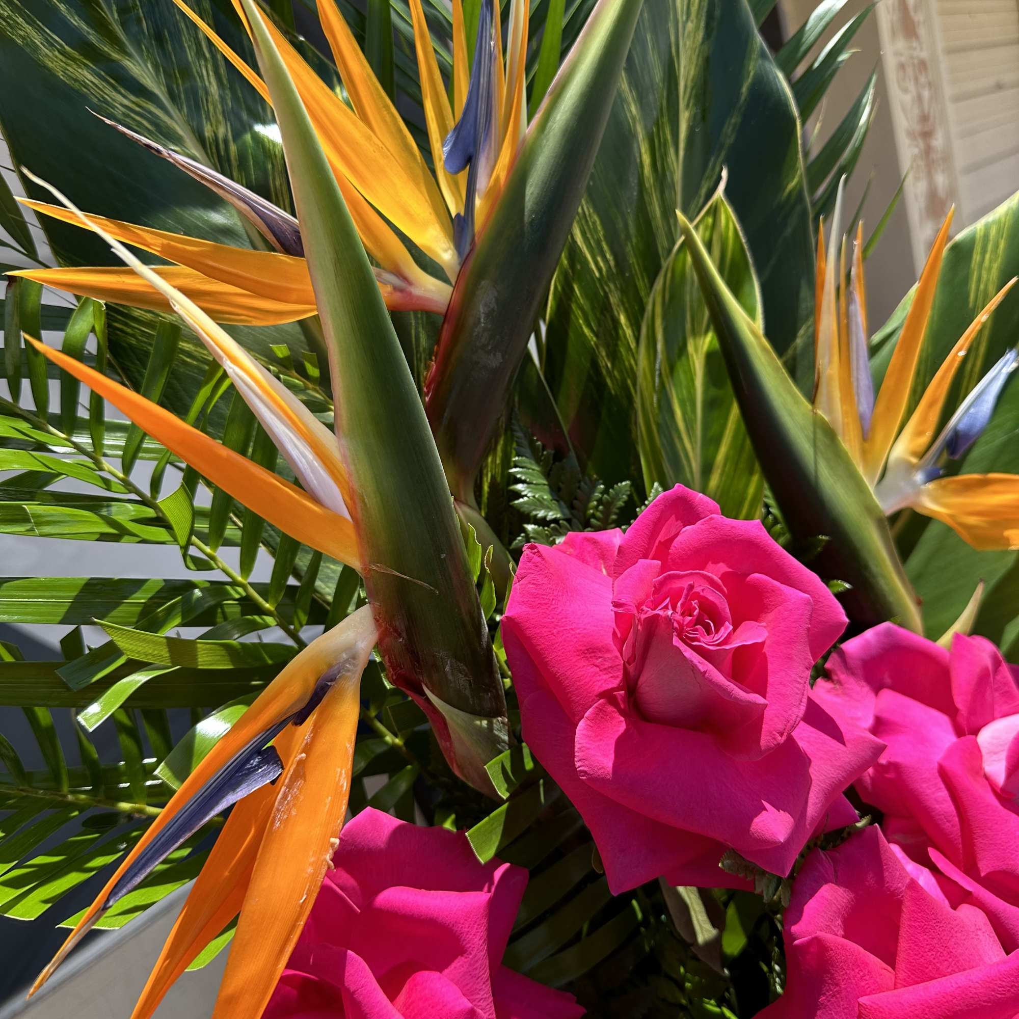 Bouquet of hot pink roses with orange bird-of-paradise flowers