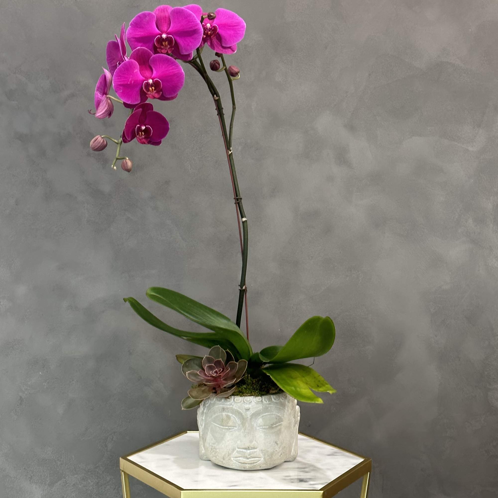 Pink orchid arrangement in a white Buddha head planter