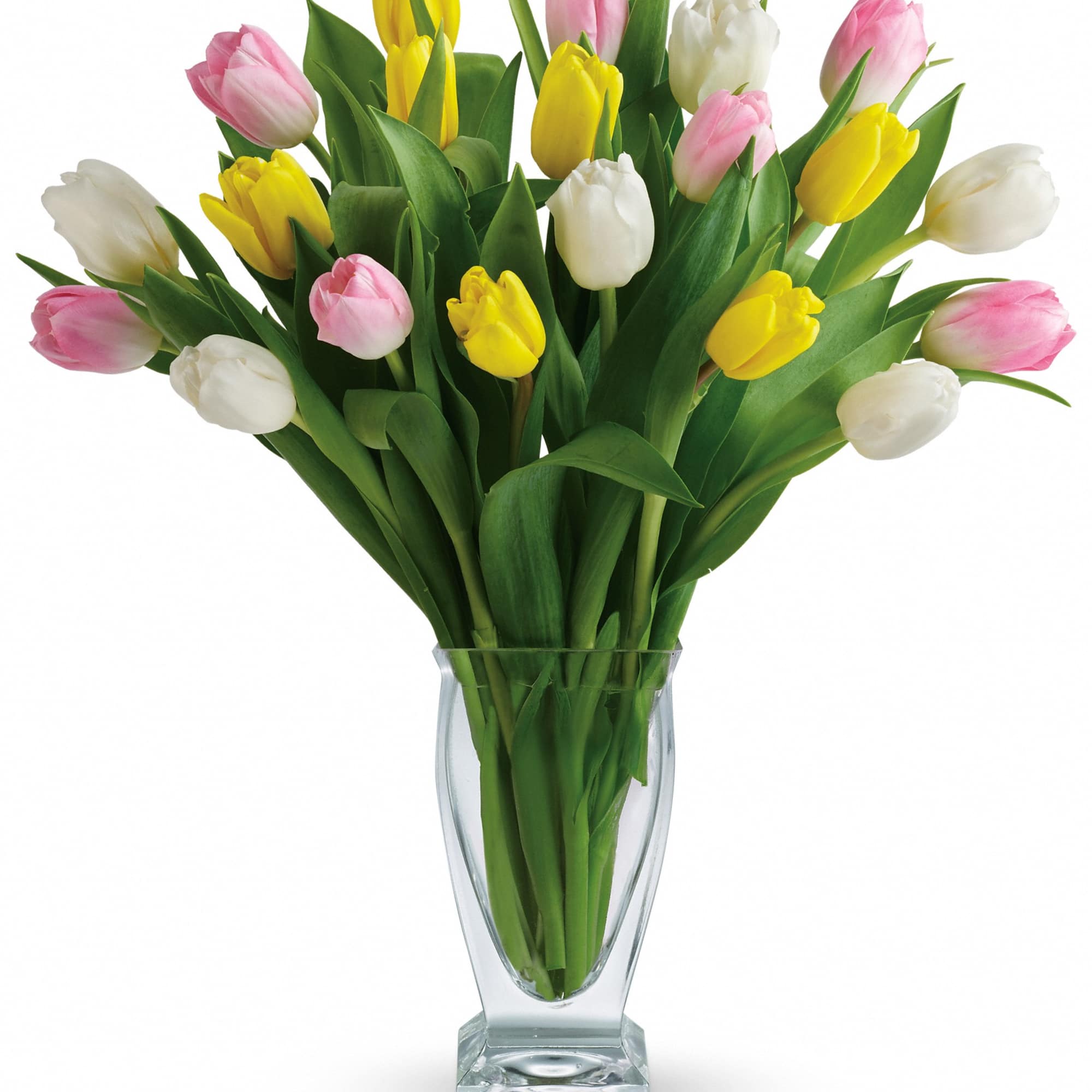 There's no reason to tiptoe around the sheer delight of tulips! And