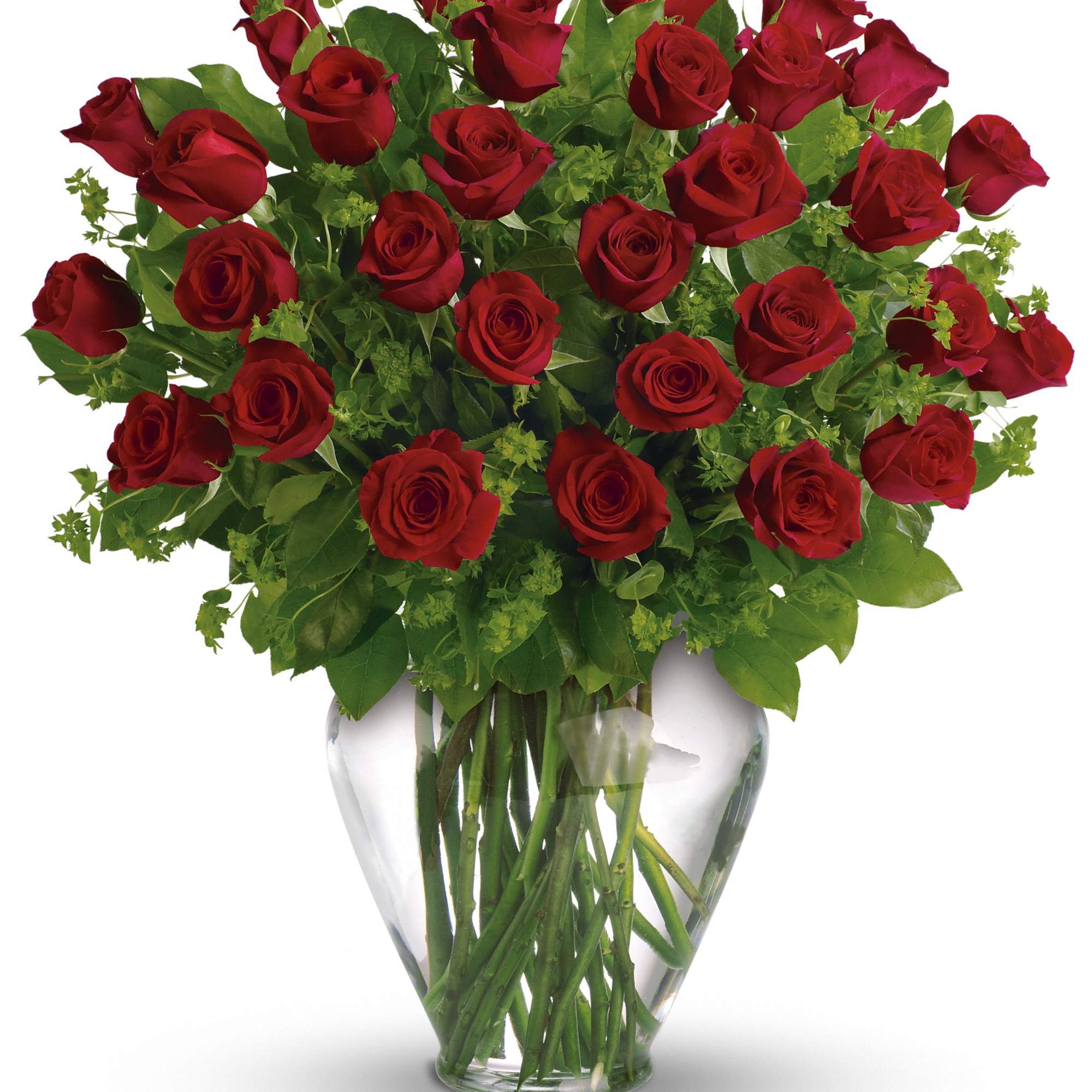 These two dozen red roses provides the classic romantic gift. It's perfect