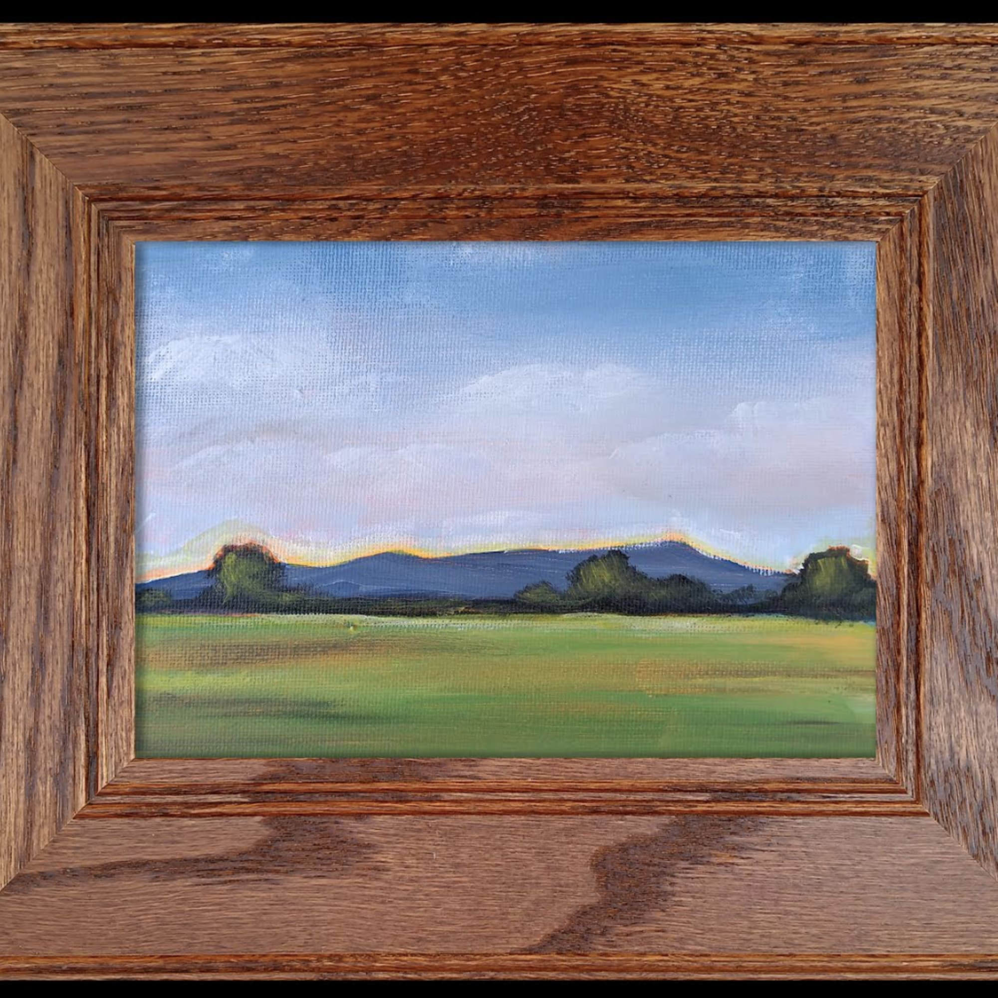 Framed landscape painting of a grassy field and distant hills