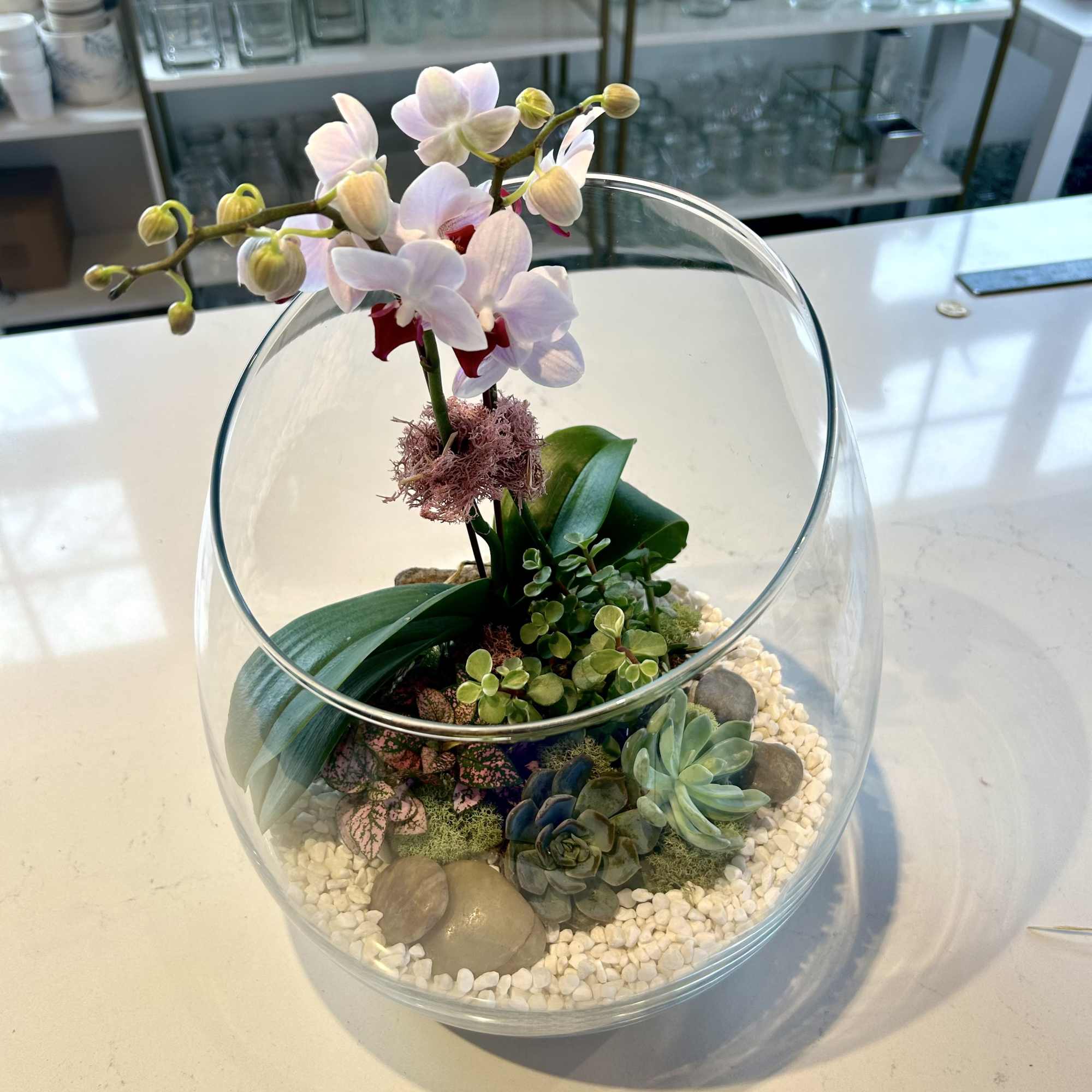 Orchid and succulents in a glass bowl terrarium