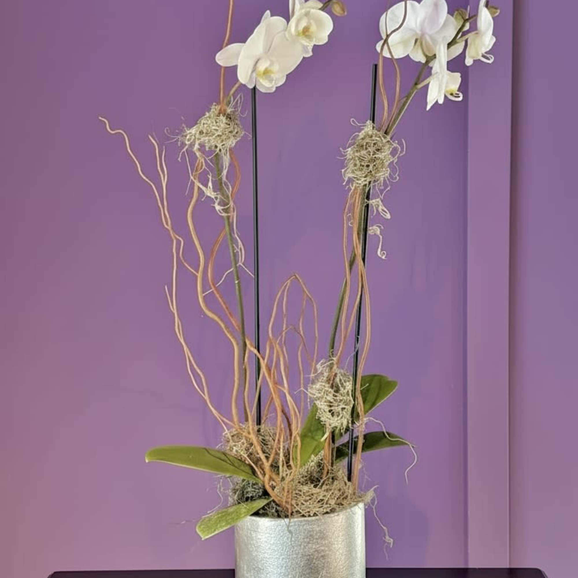 A beautiful and classic double stem white or pink orchid. Perfect for