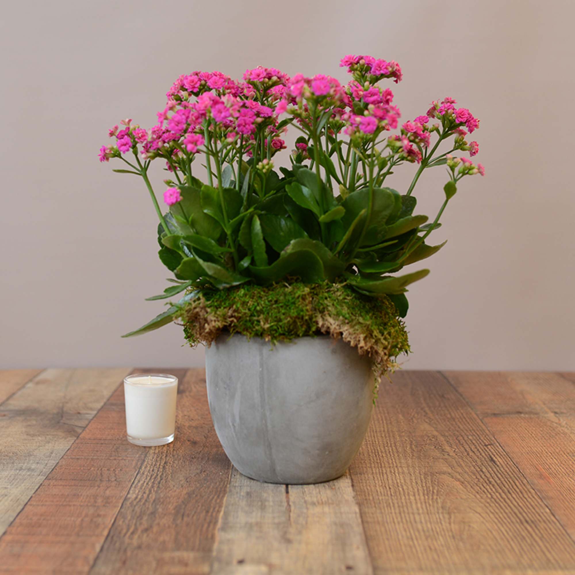Potted pink flowering plant in a gray container with a small candle beside it