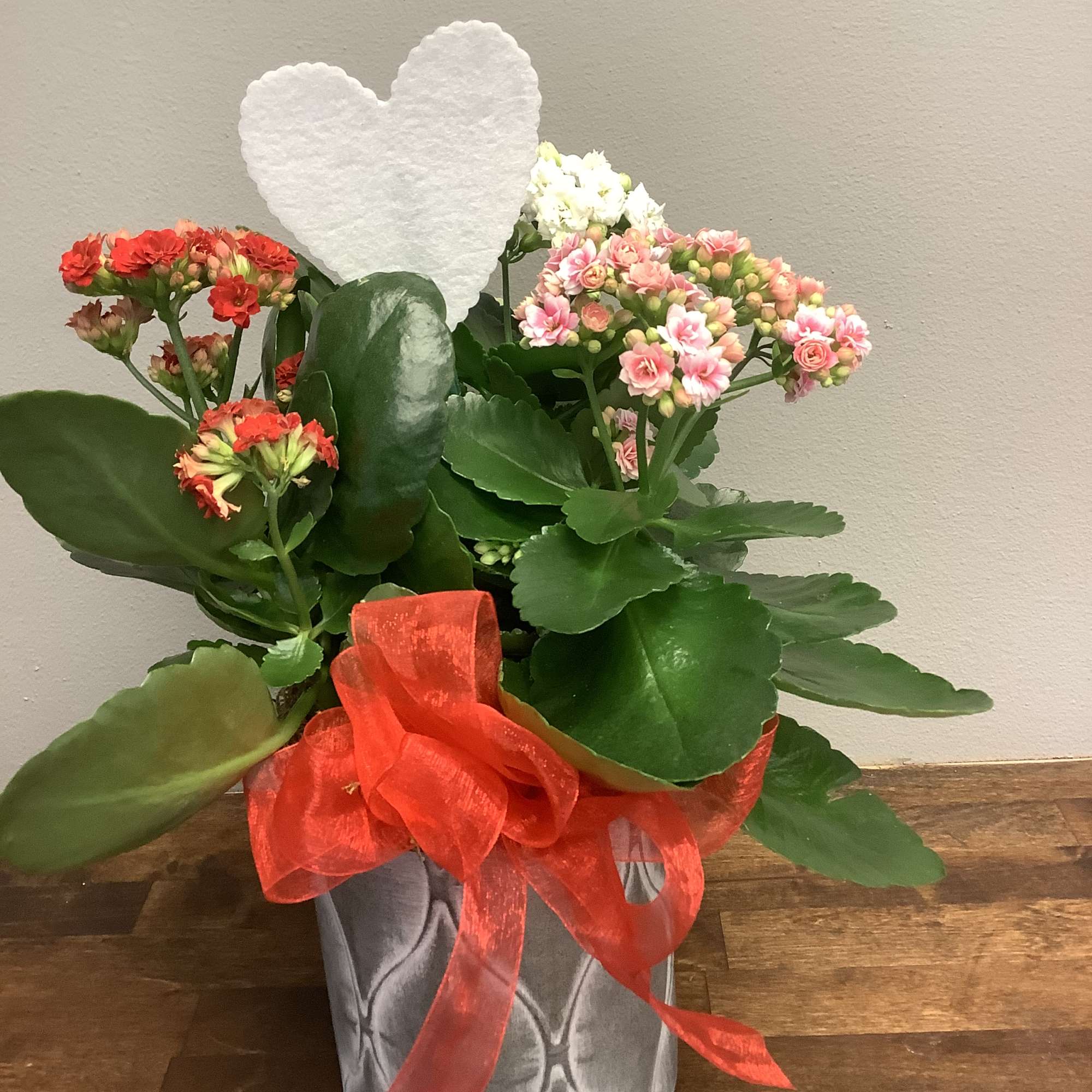 Potted flowering plant with pink and red blooms and a red ribbon