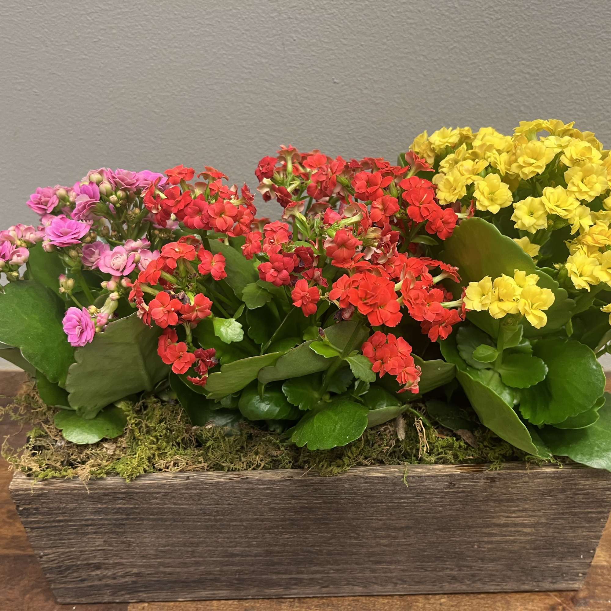 Rectangular planter with pink, red, and yellow flowering plants