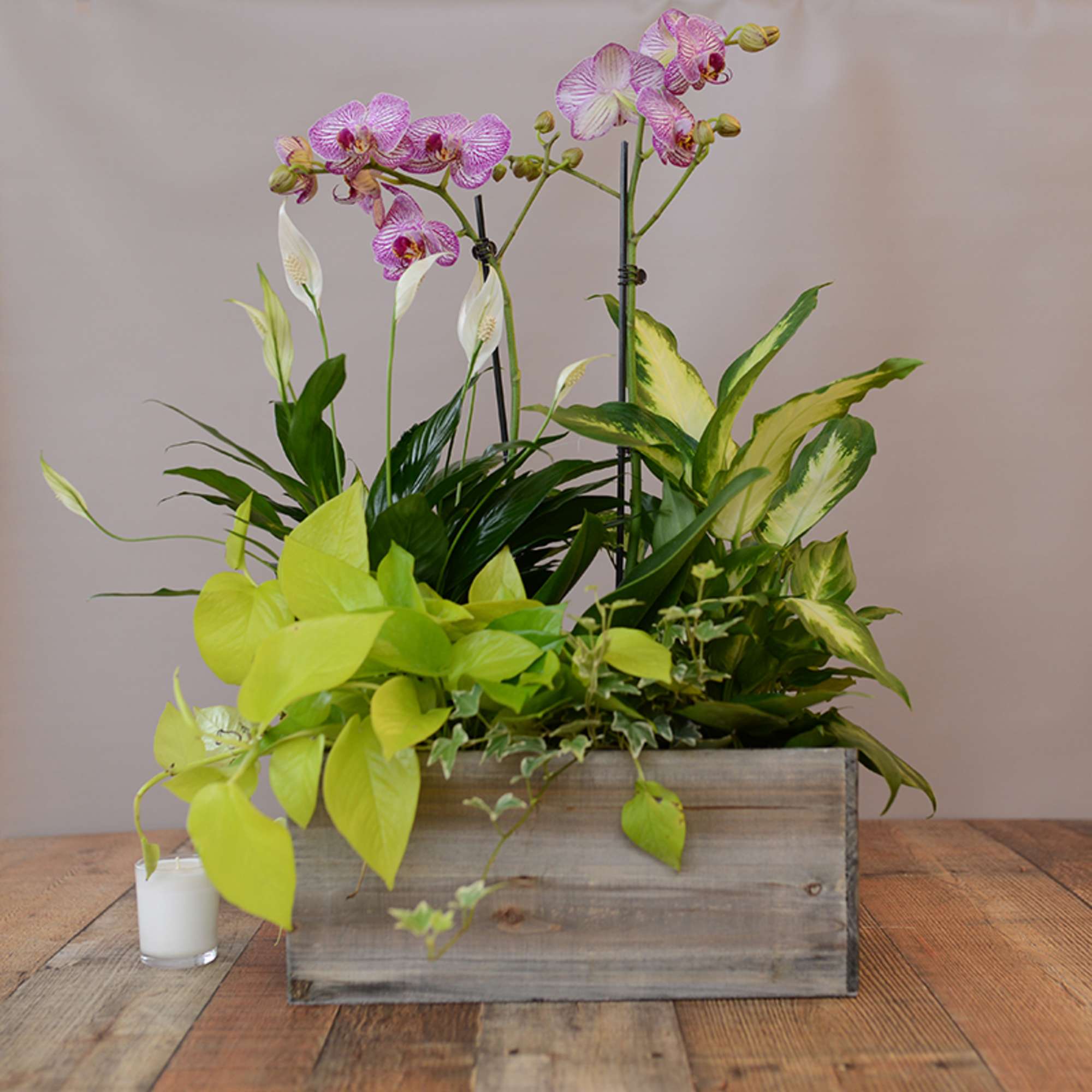 Orchid and peace lily arrangement in a wooden box with a small candle