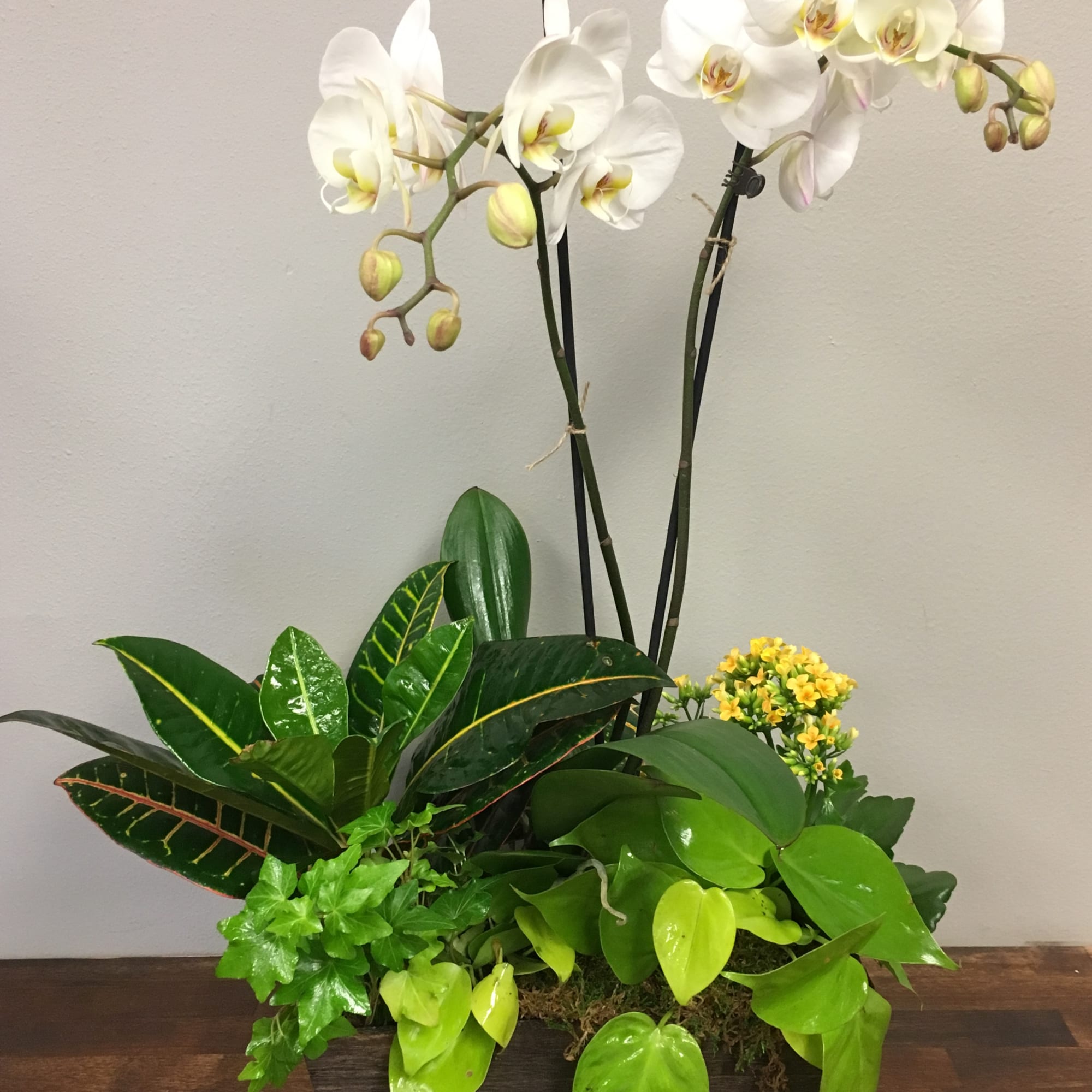 White orchids in a rectangular planter with assorted green foliage