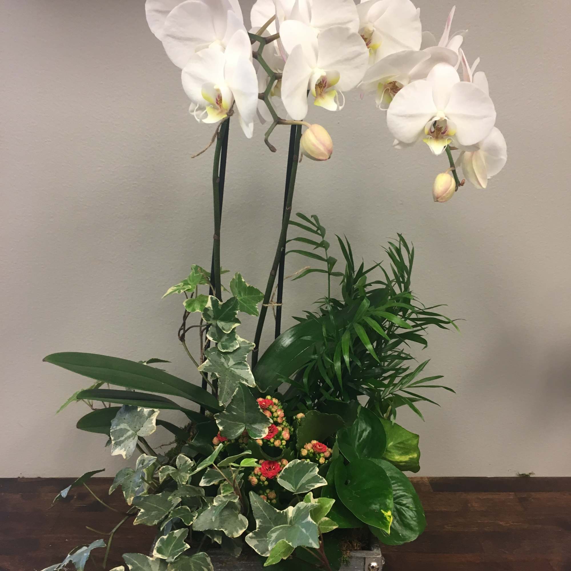 White orchids in a gray wooden planter with mixed green foliage
