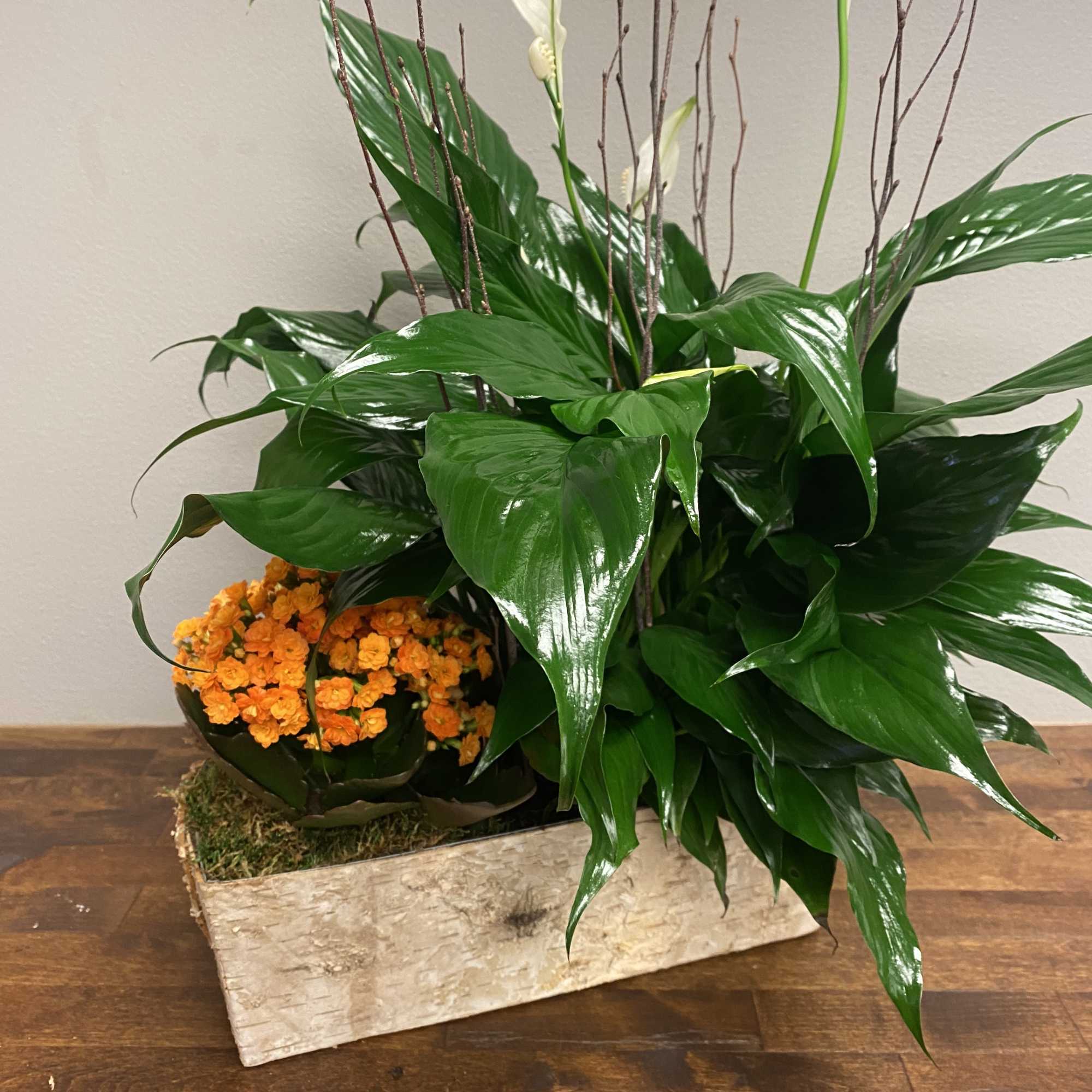 Potted arrangement with white peace lilies and orange flowers in a birch container