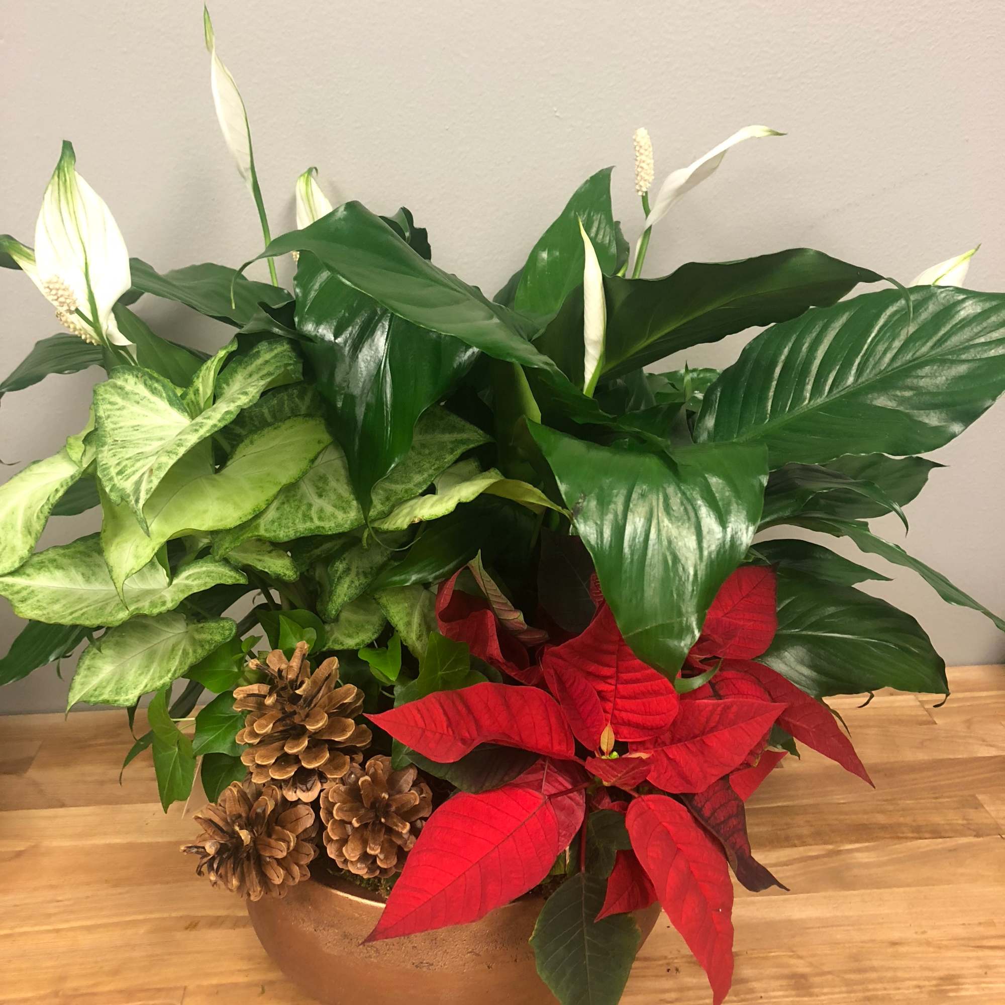 Potted arrangement with white peace lilies, red poinsettias, and pinecones