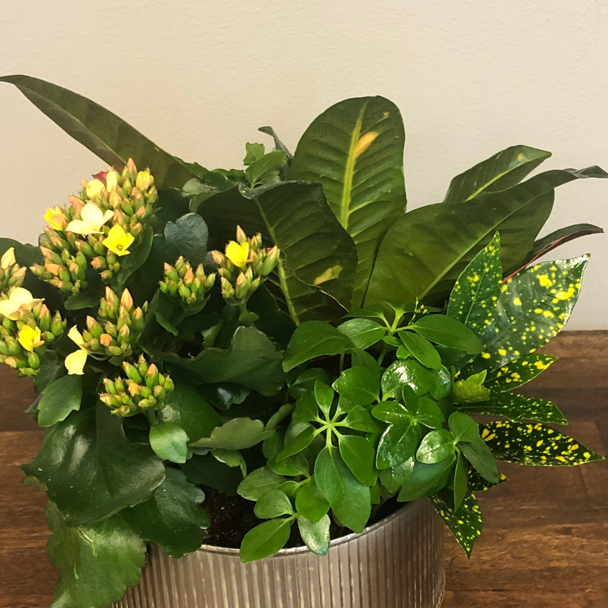 Potted green plant arrangement with small yellow flowers in a ribbed metal container