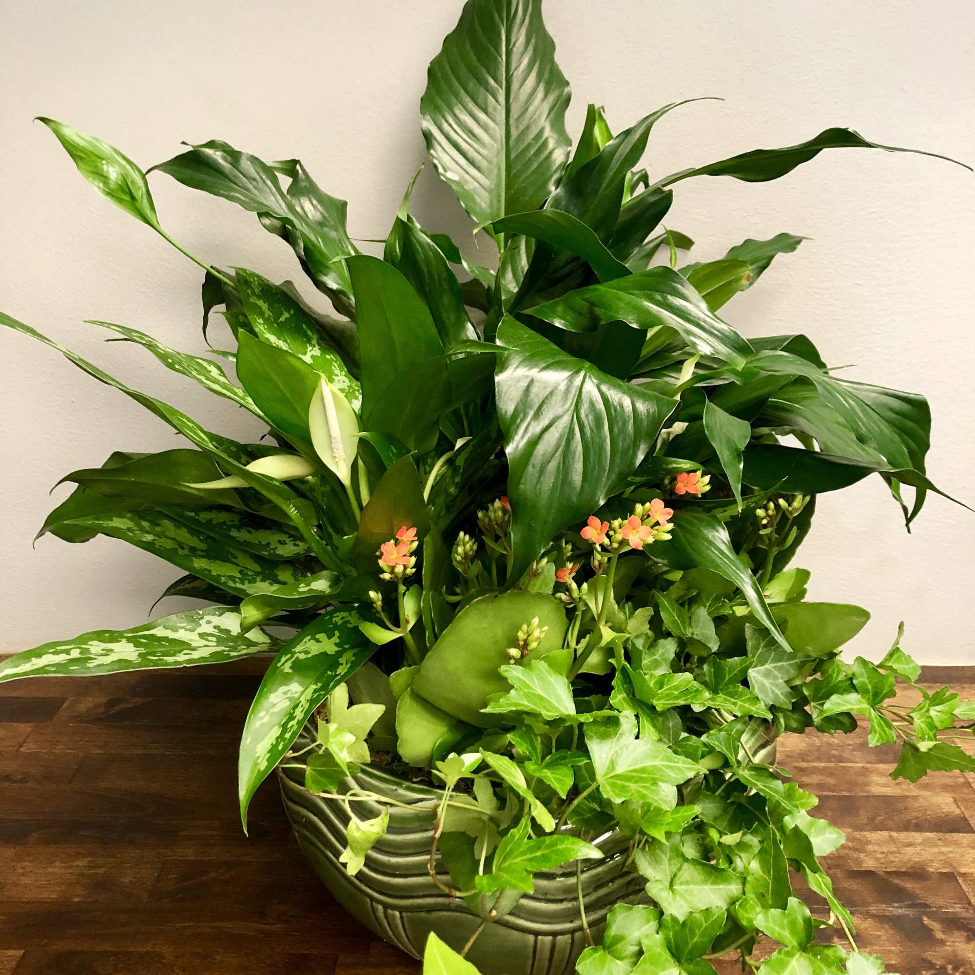 Lush green plant arrangement in a ceramic bowl with small pink flowers