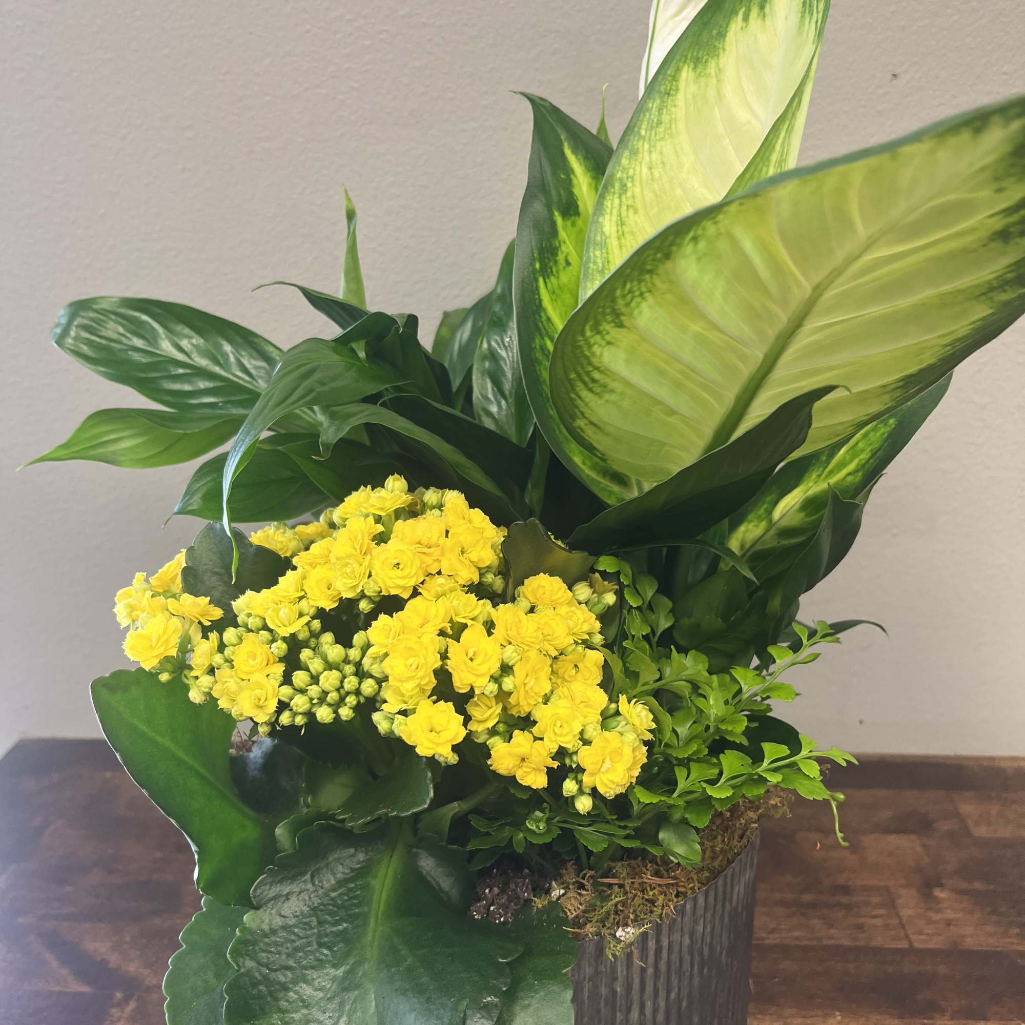 Yellow flowers in a dark ribbed container with large green leaves