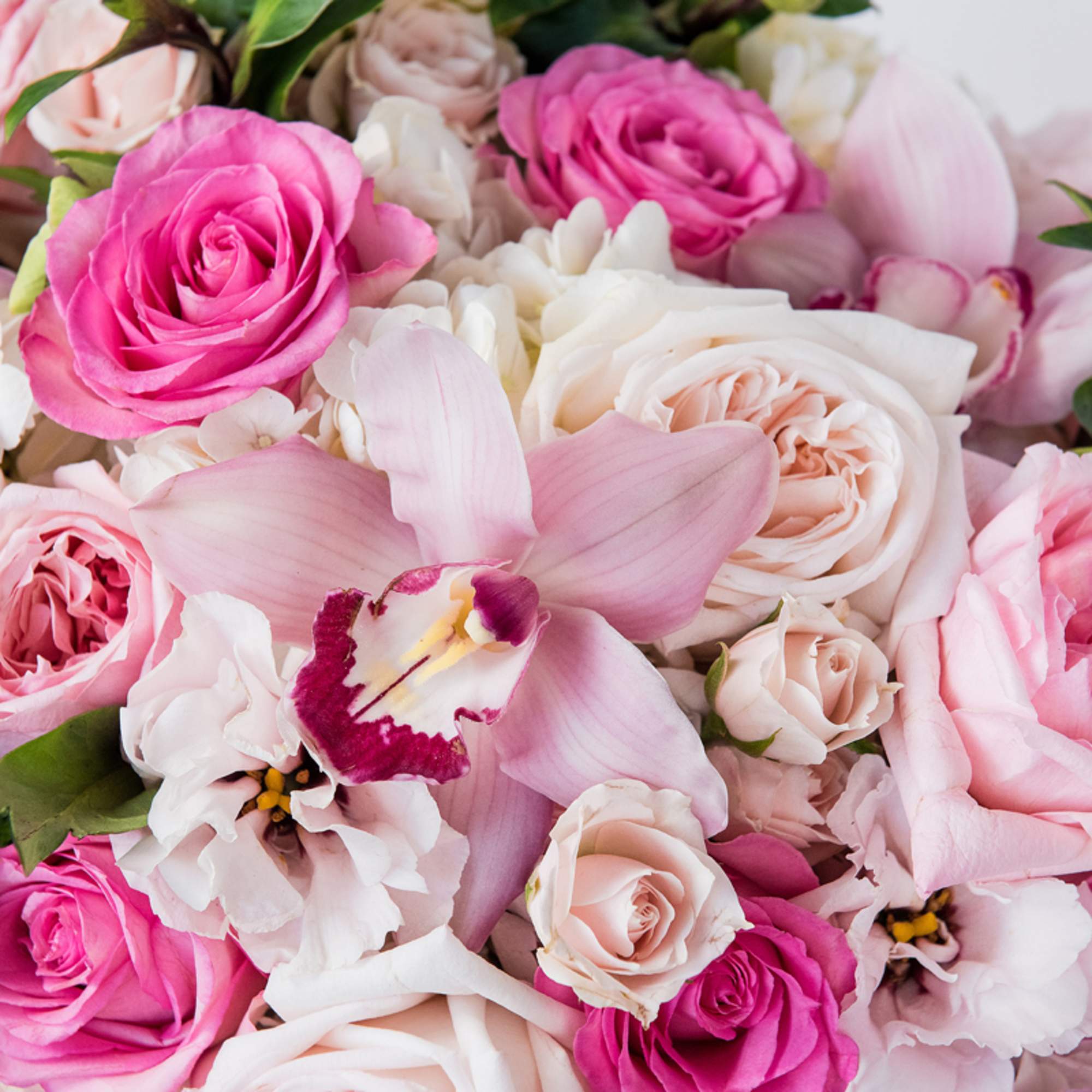 Pink and white roses with a pale pink orchid bloom