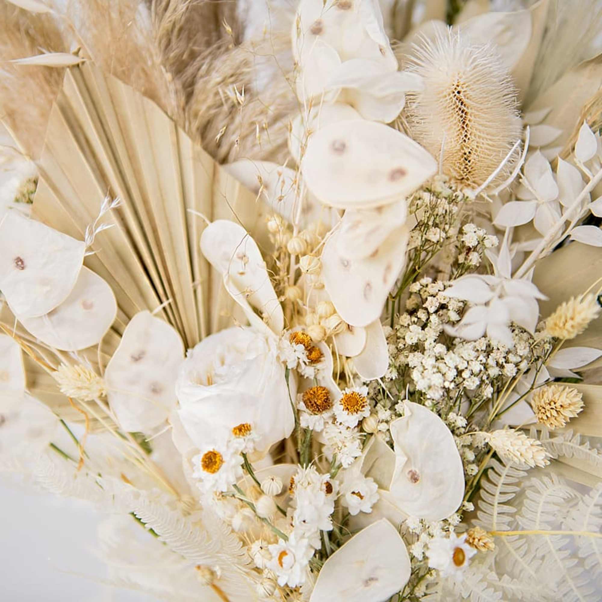 Cream-colored dried floral arrangement with white seed pods and feathery grasses