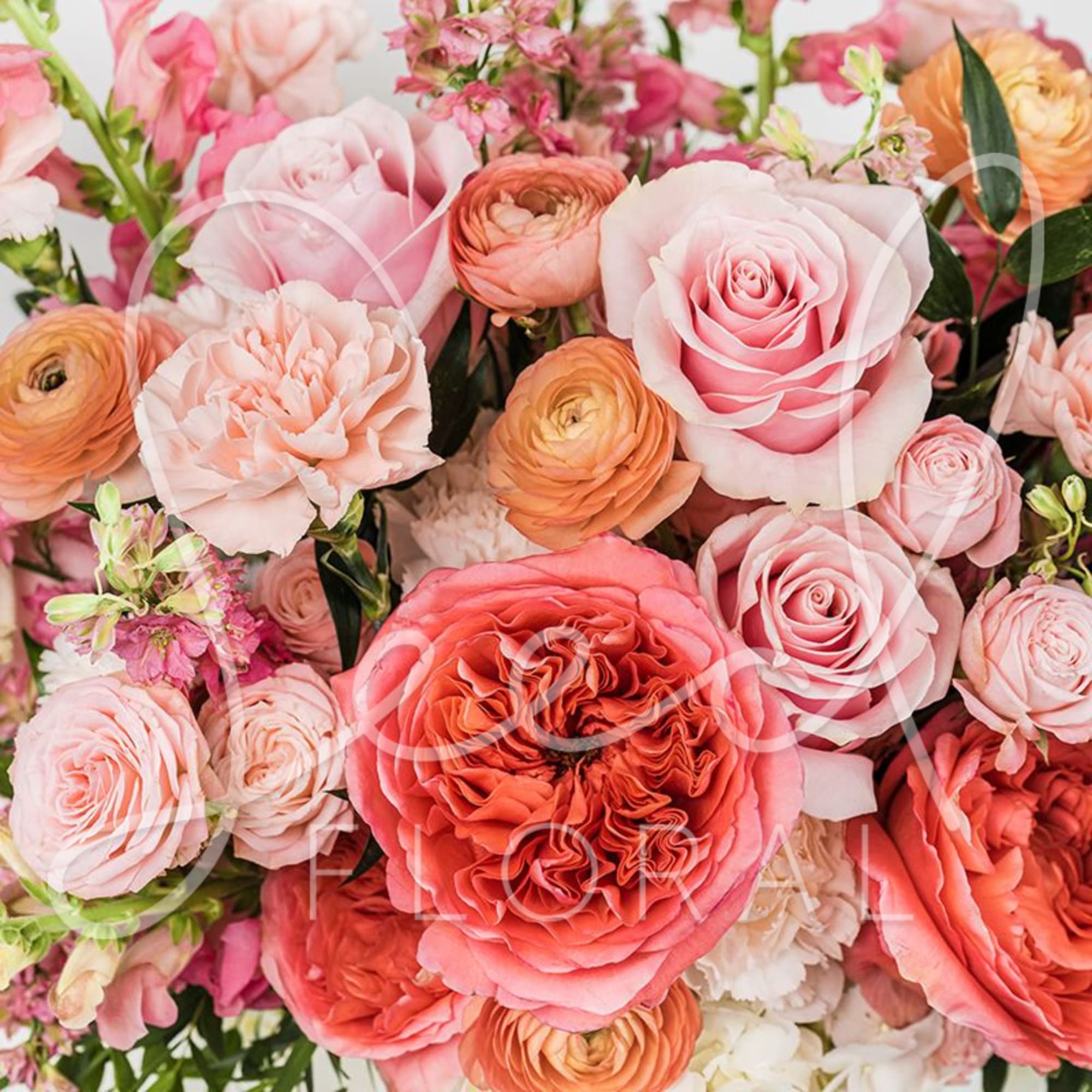 Overflowing with rich coral, blush, and soft peach blooms, Coral Crush is, photo 2 of 2