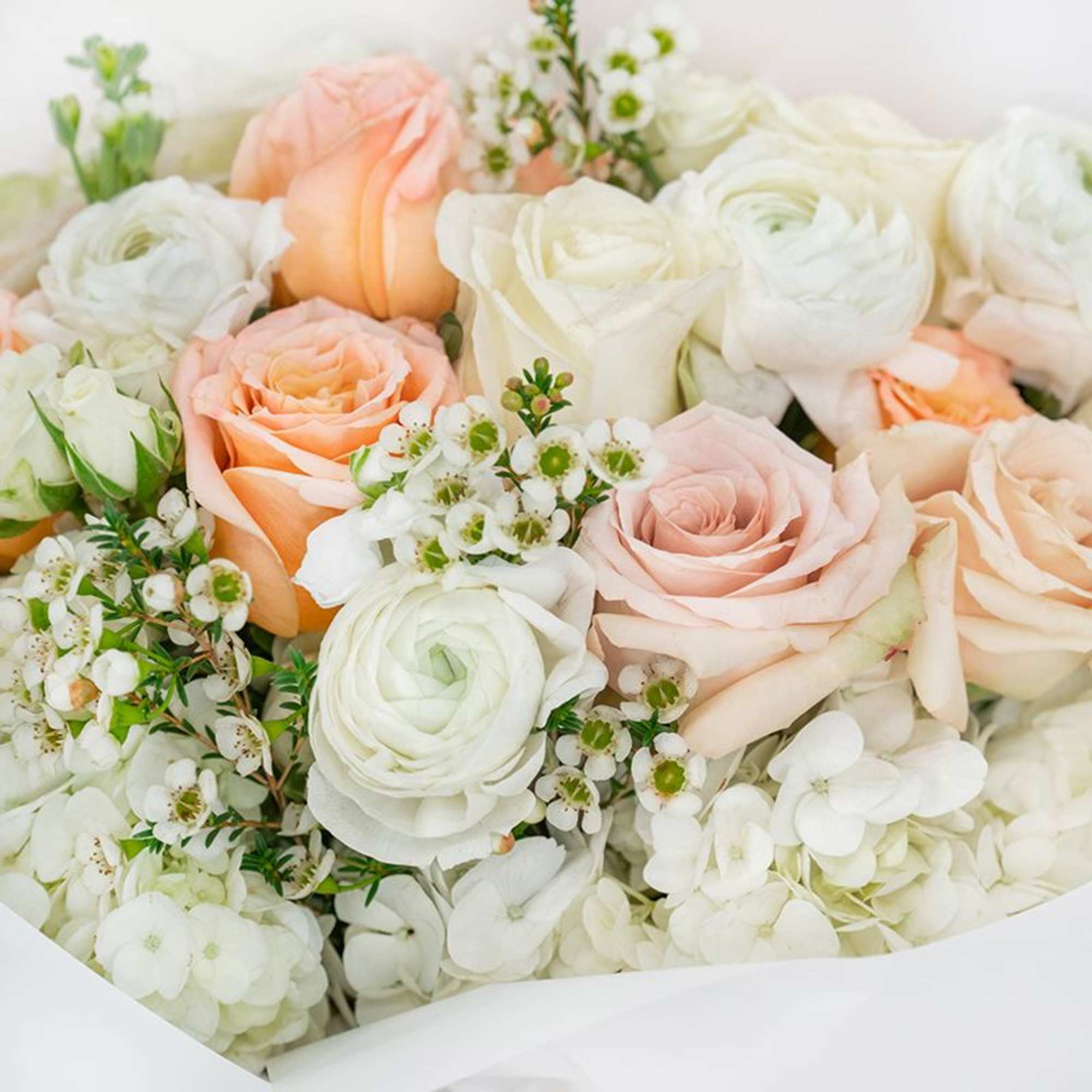 Bouquet of white and blush roses with white ranunculus and small white filler flowers