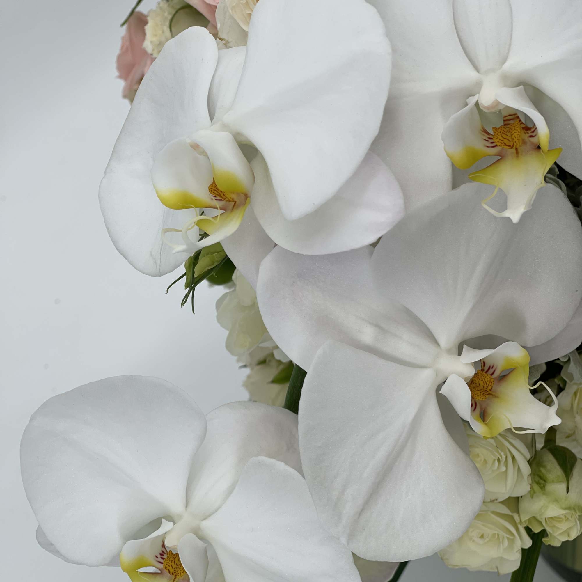 White orchids with pale pink roses in a bouquet