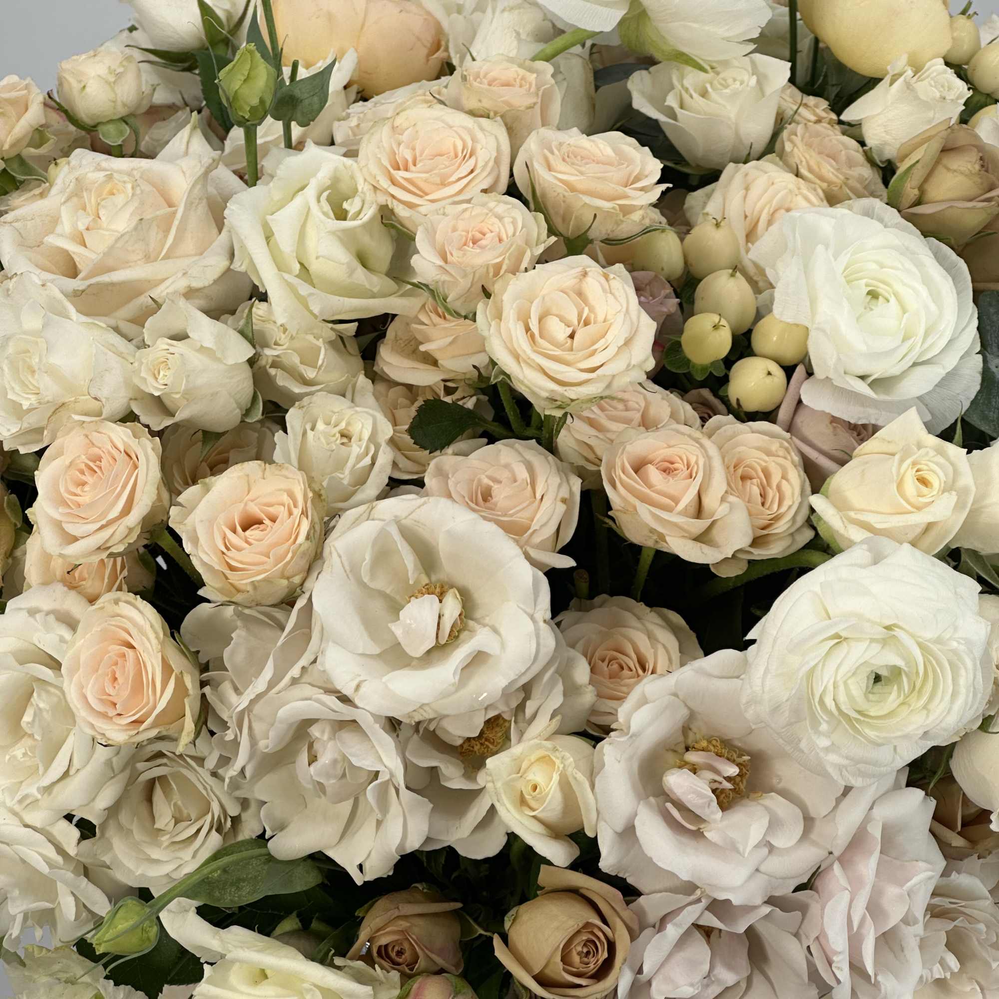Bouquet of cream and blush roses with white ranunculus