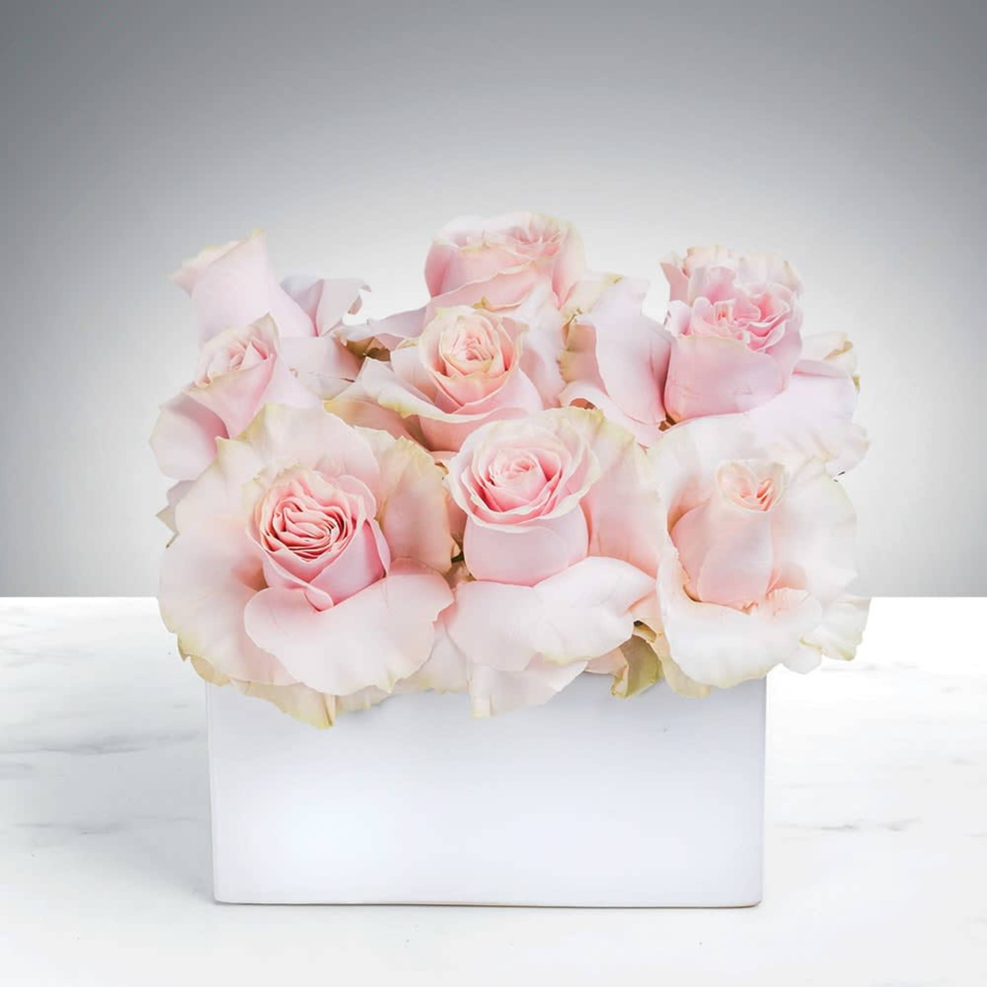 Pale pink roses arranged in a white rectangular box
