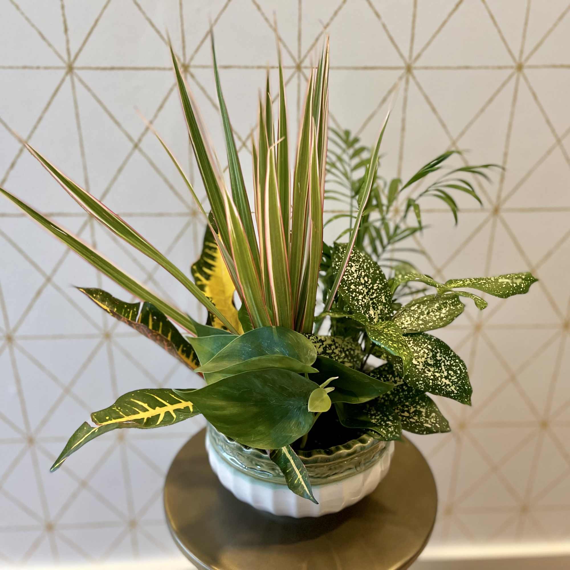 Tropical foliage arrangement in a white ceramic bowl